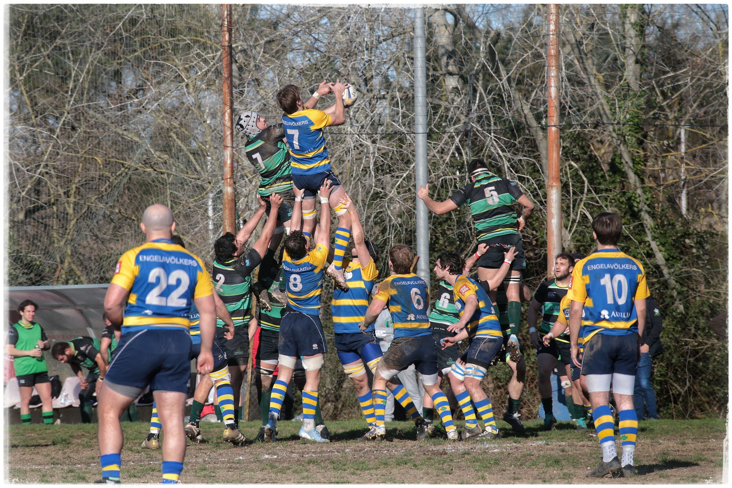 It's mine... No, it's mine!!