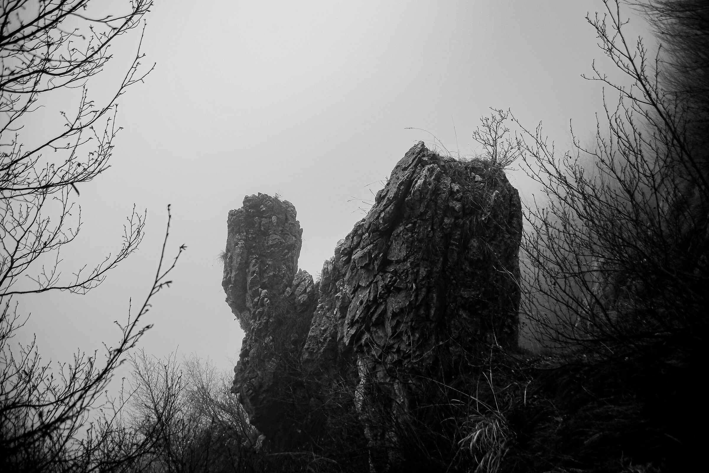 Giganti nella nebbia