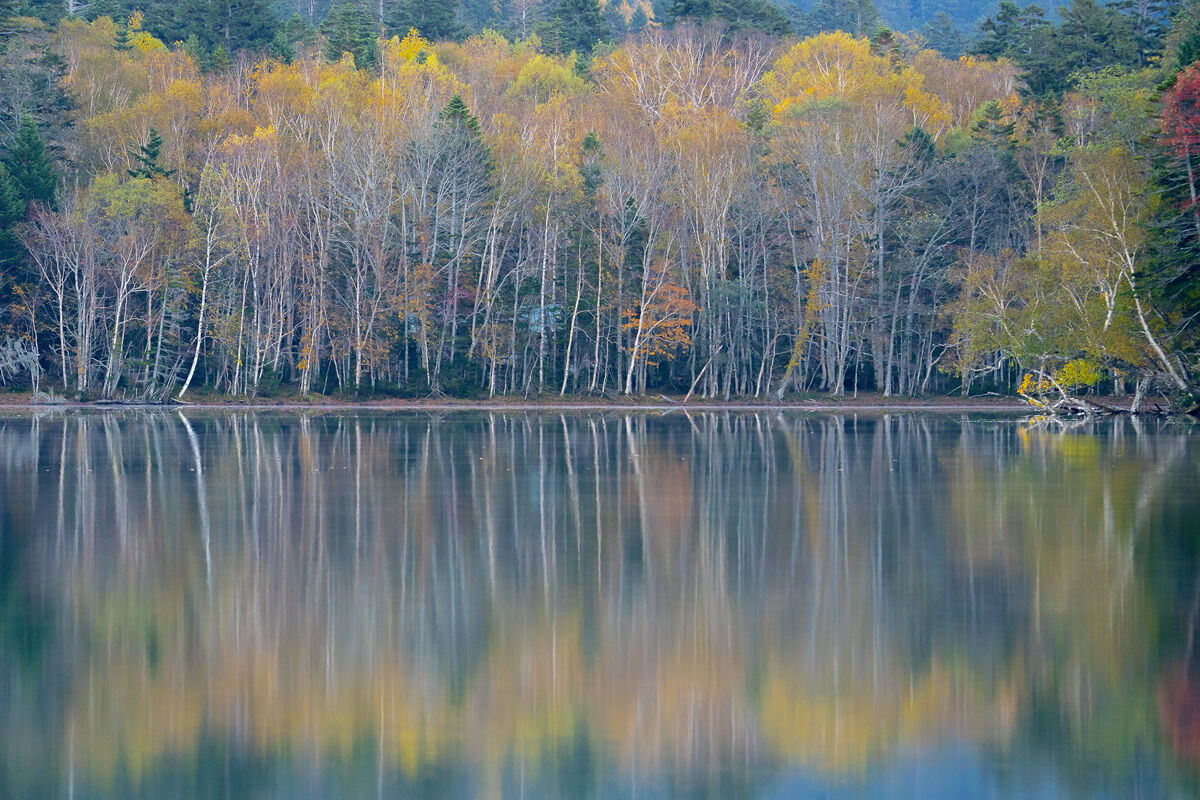 Hokkaido Fall