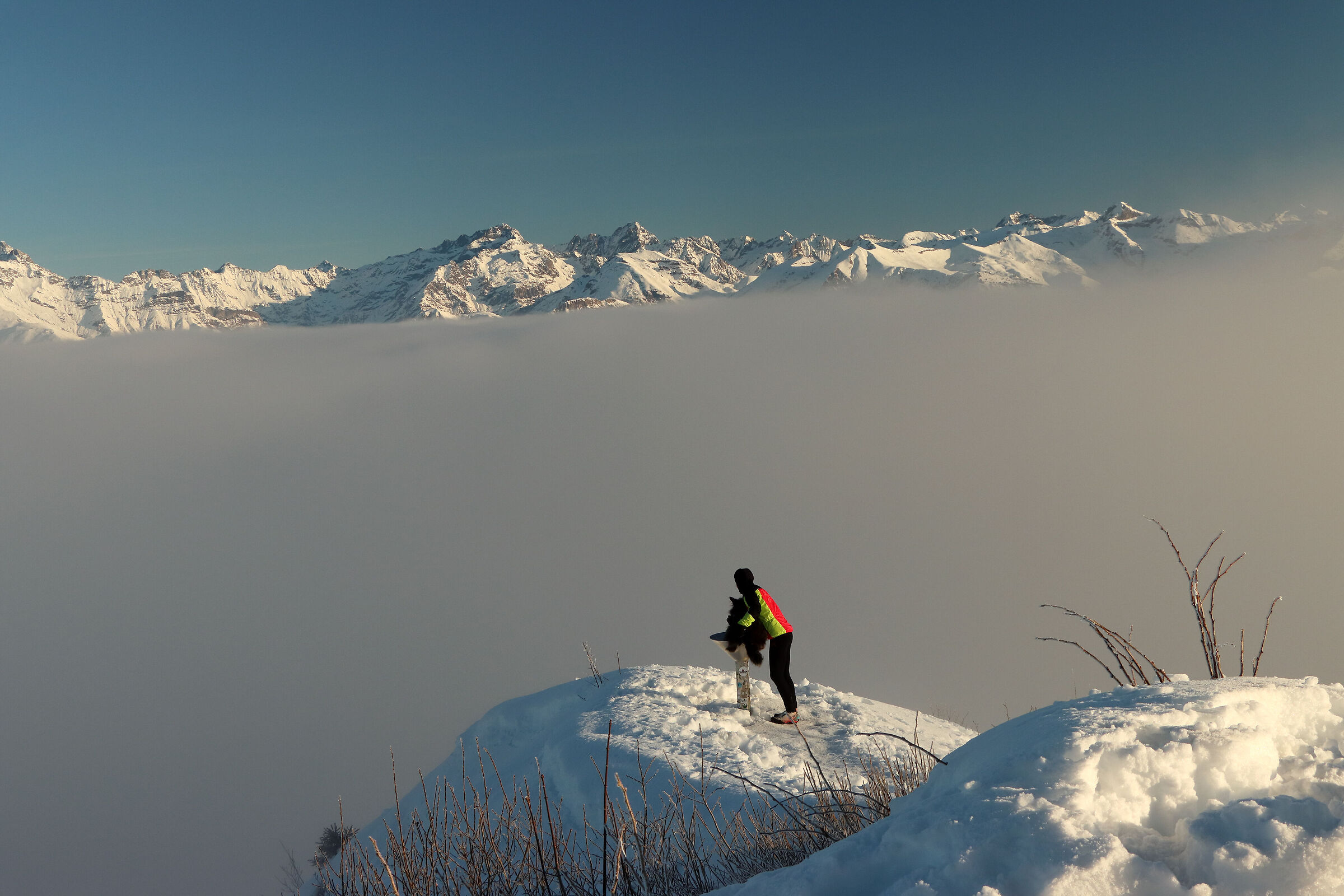shortly after dawn a sea of fog