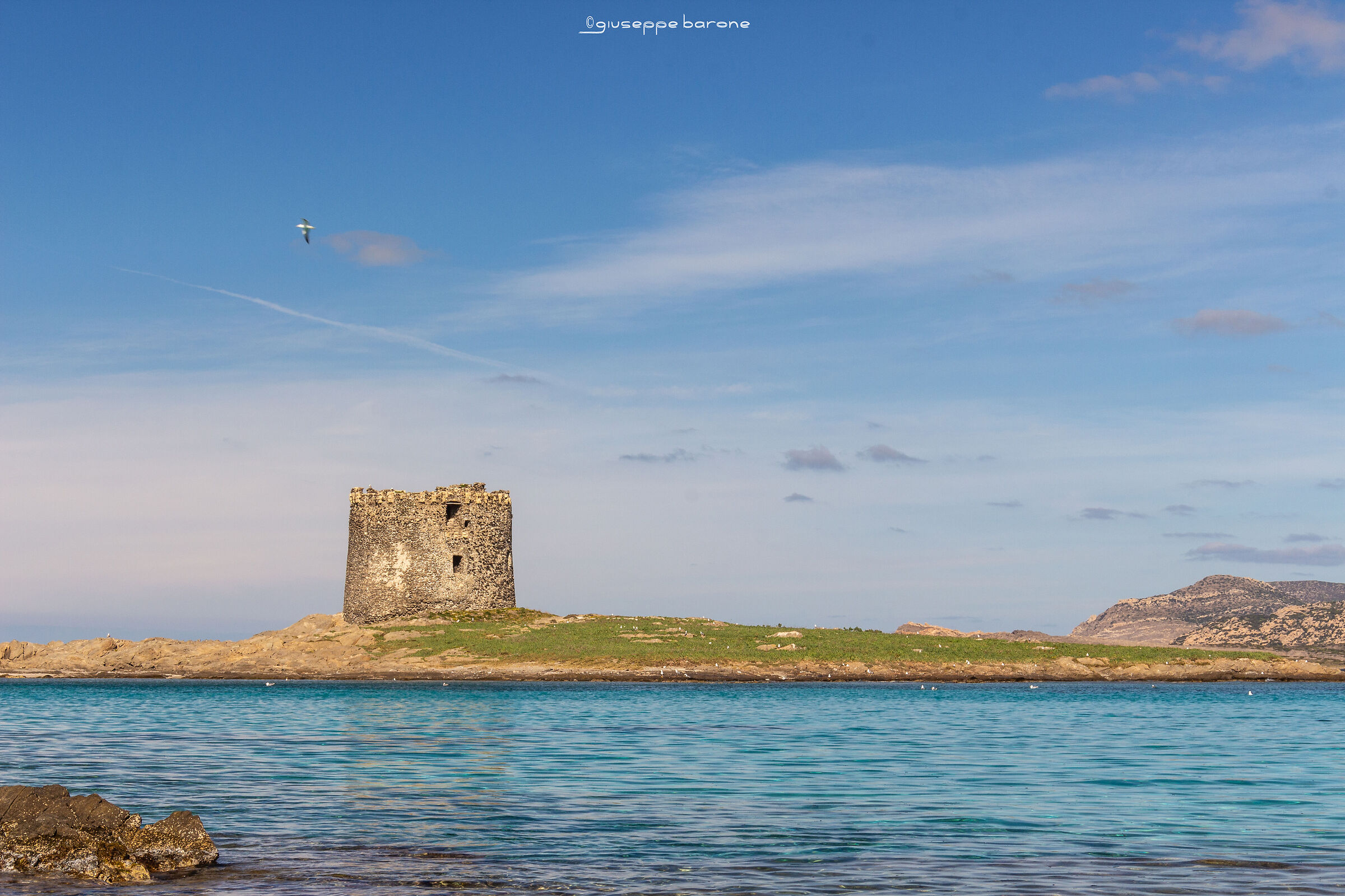 torre nell'isola della Pelosa - Stintino