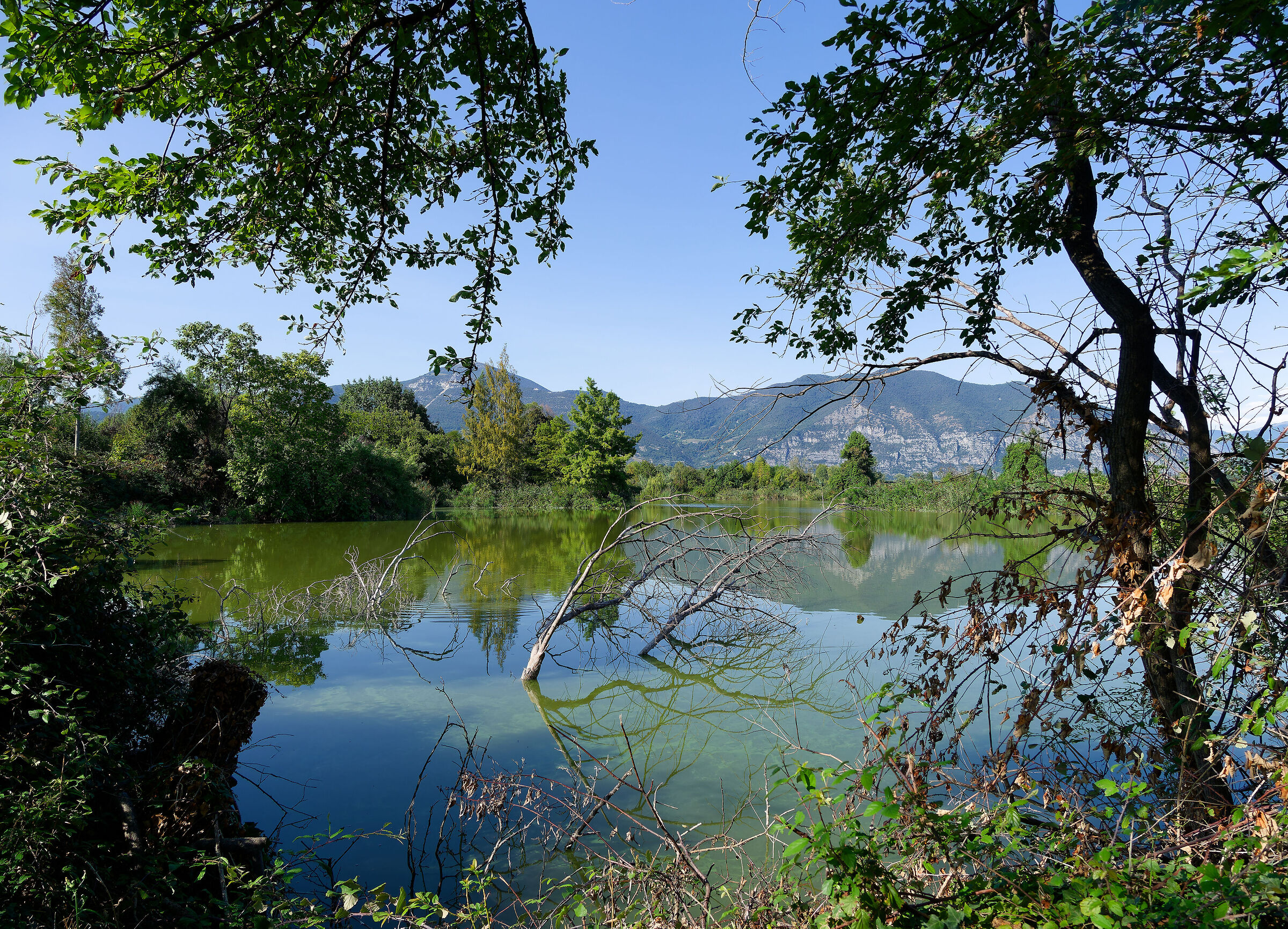 Peat bogs of the Sebino