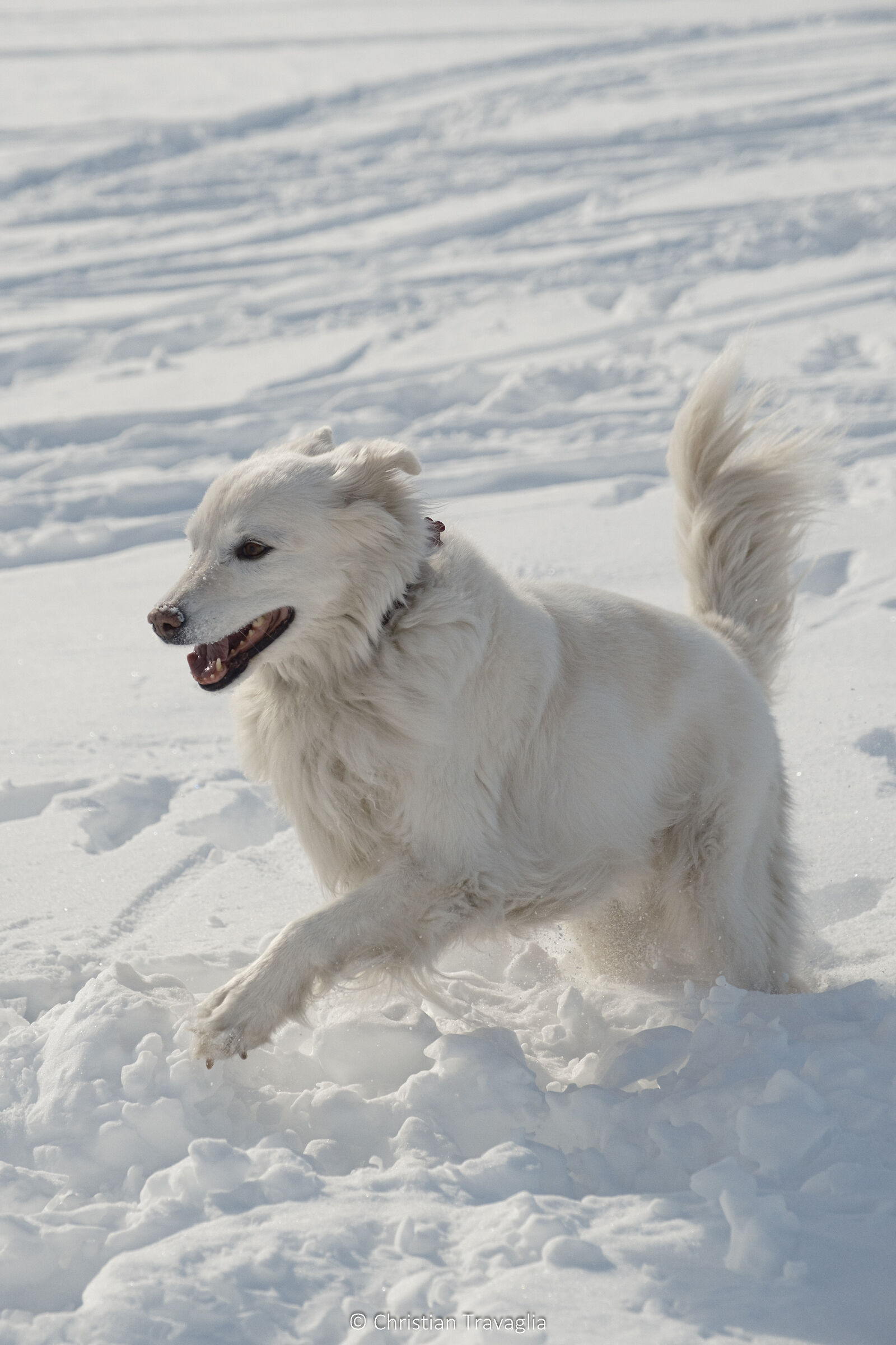 Kiira - 10 years old and not feeling them!