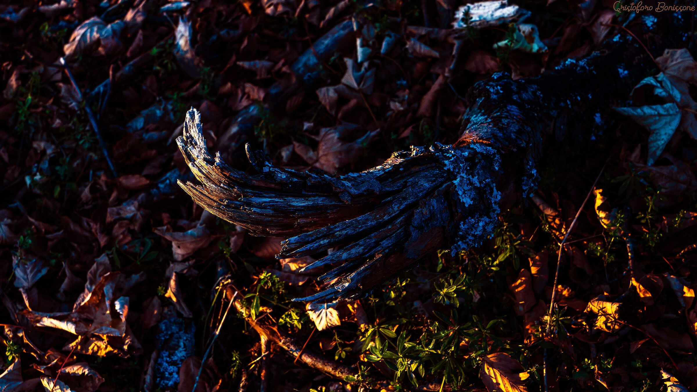 Golden Hour Al Terminillo