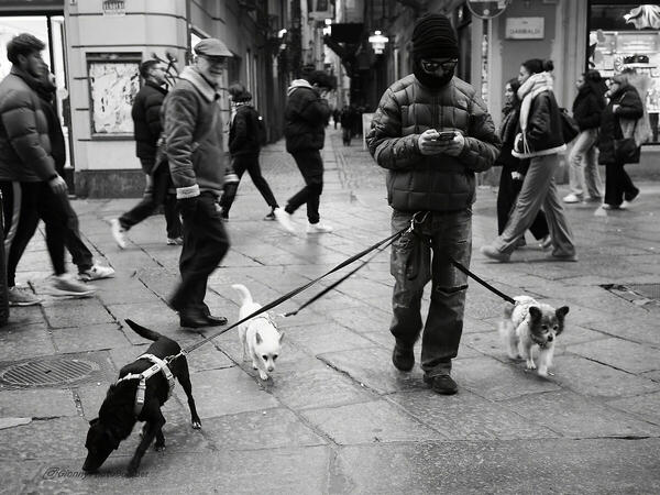 Foto