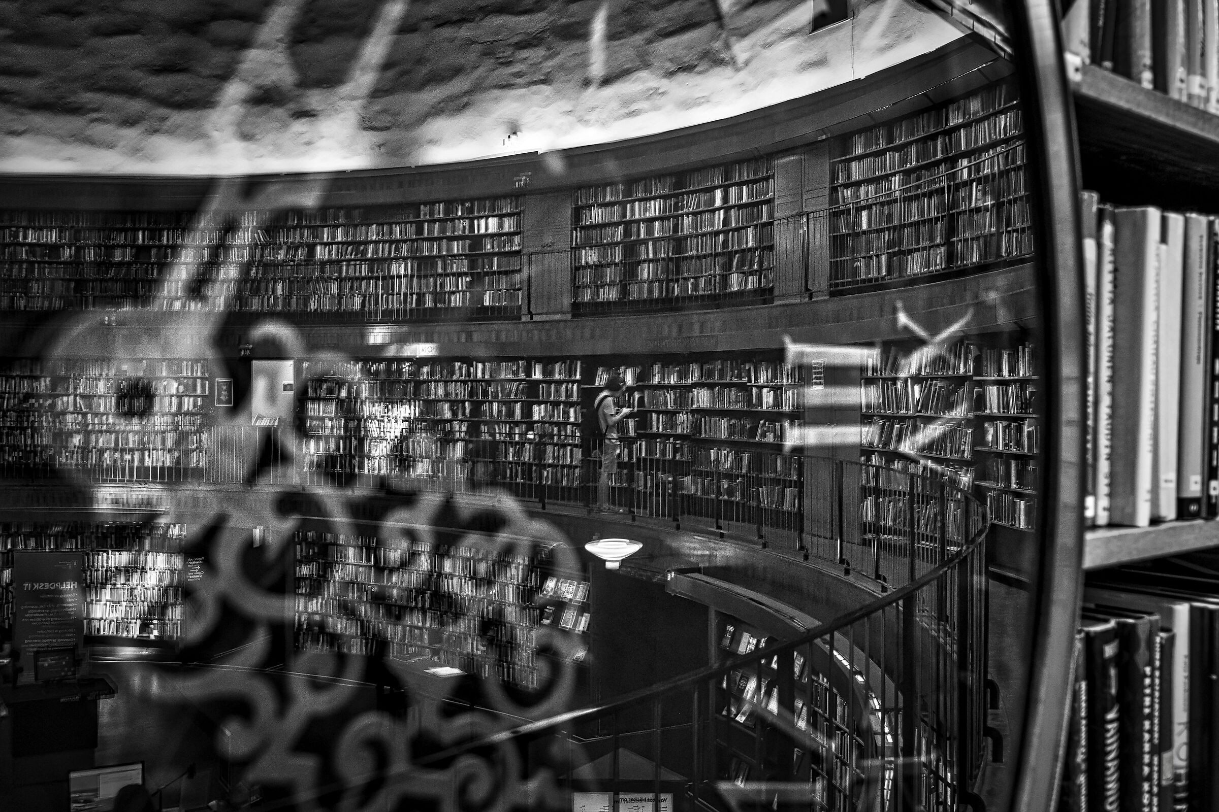 The Name of the Rose