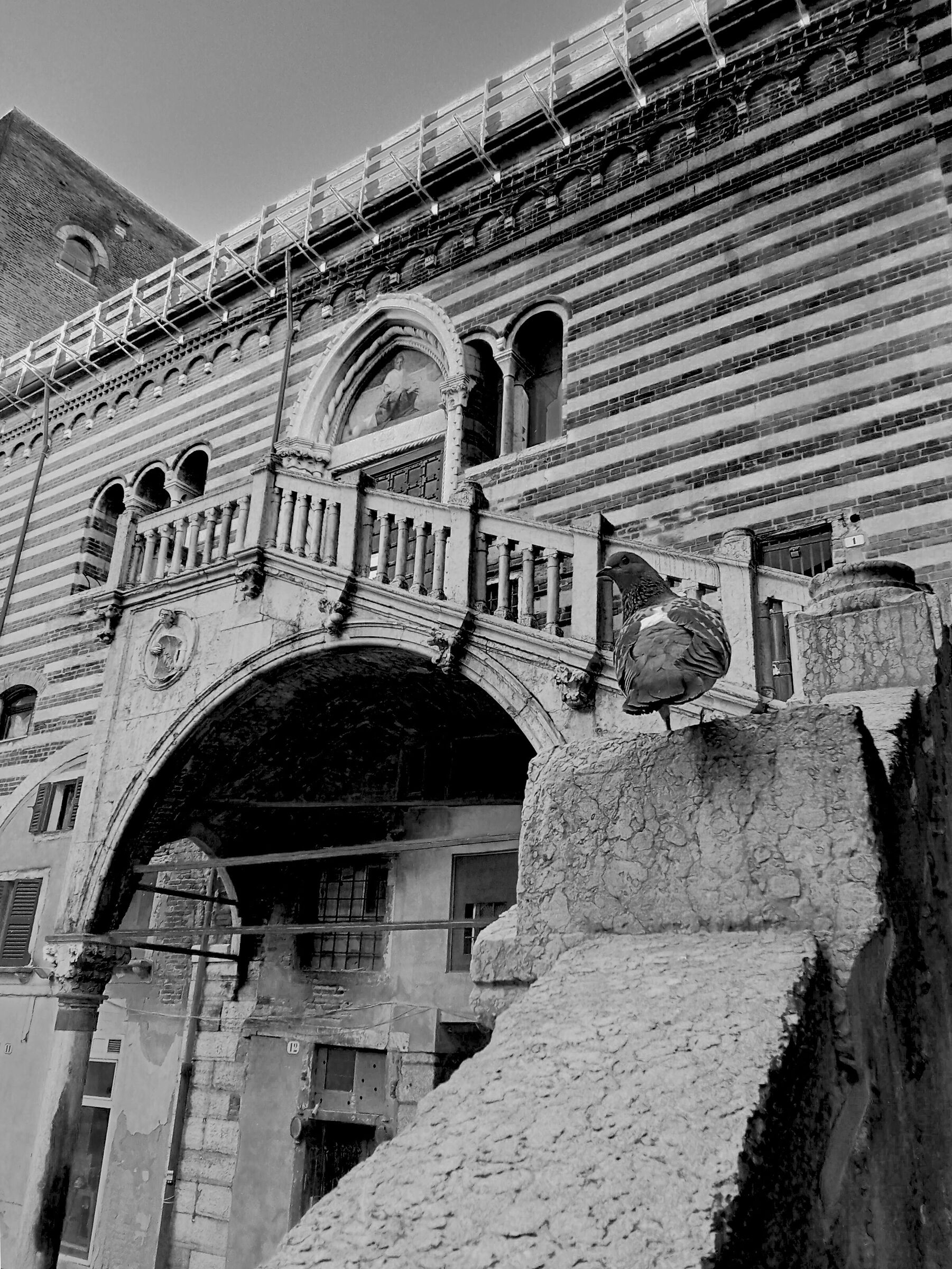 A Pigeon visiting the Staircase of Reason