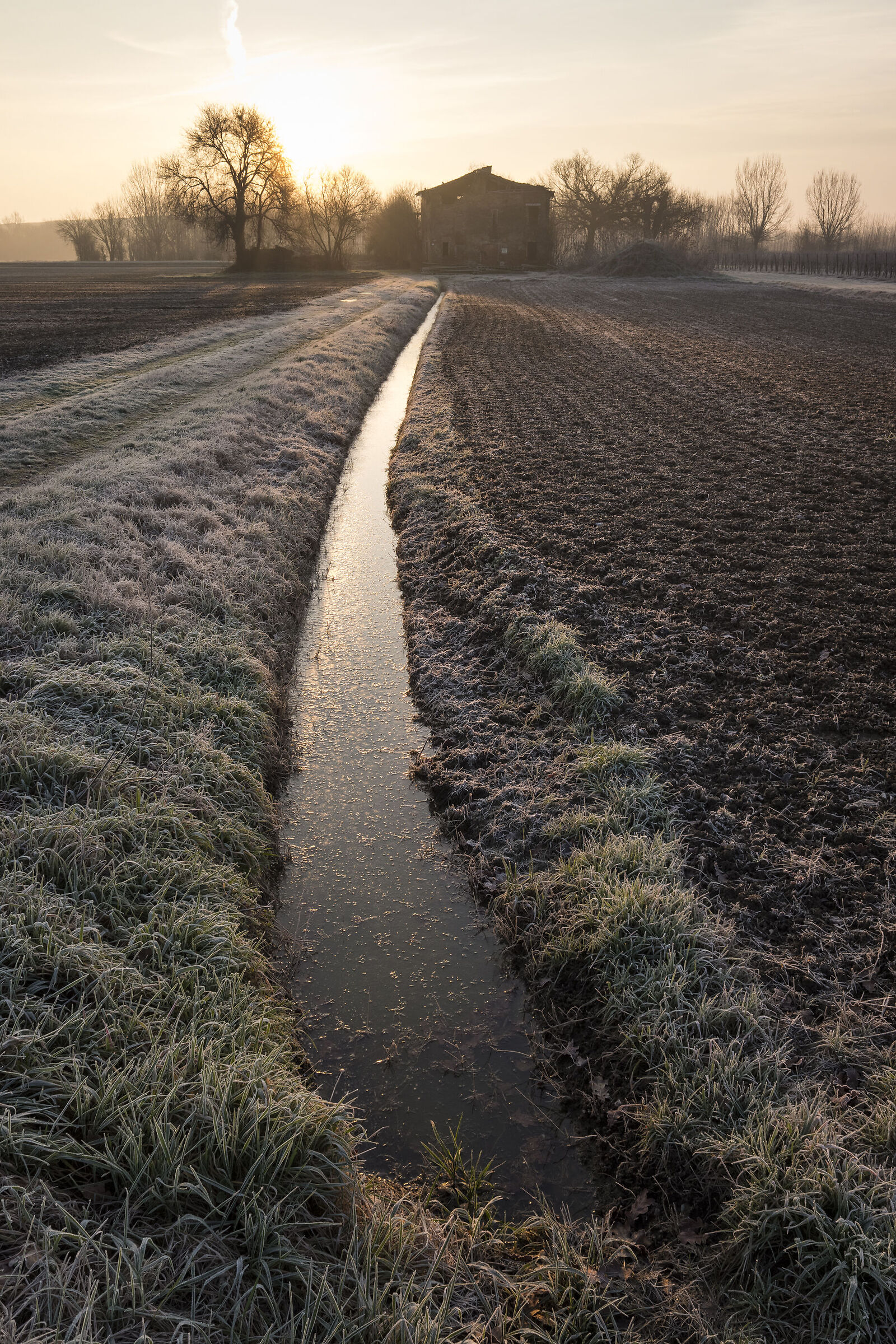Ultime albe invernali