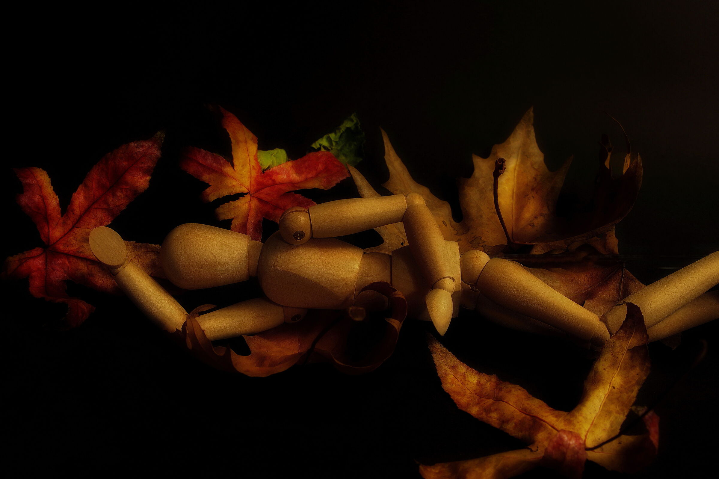 Summer rests in an autumn bed