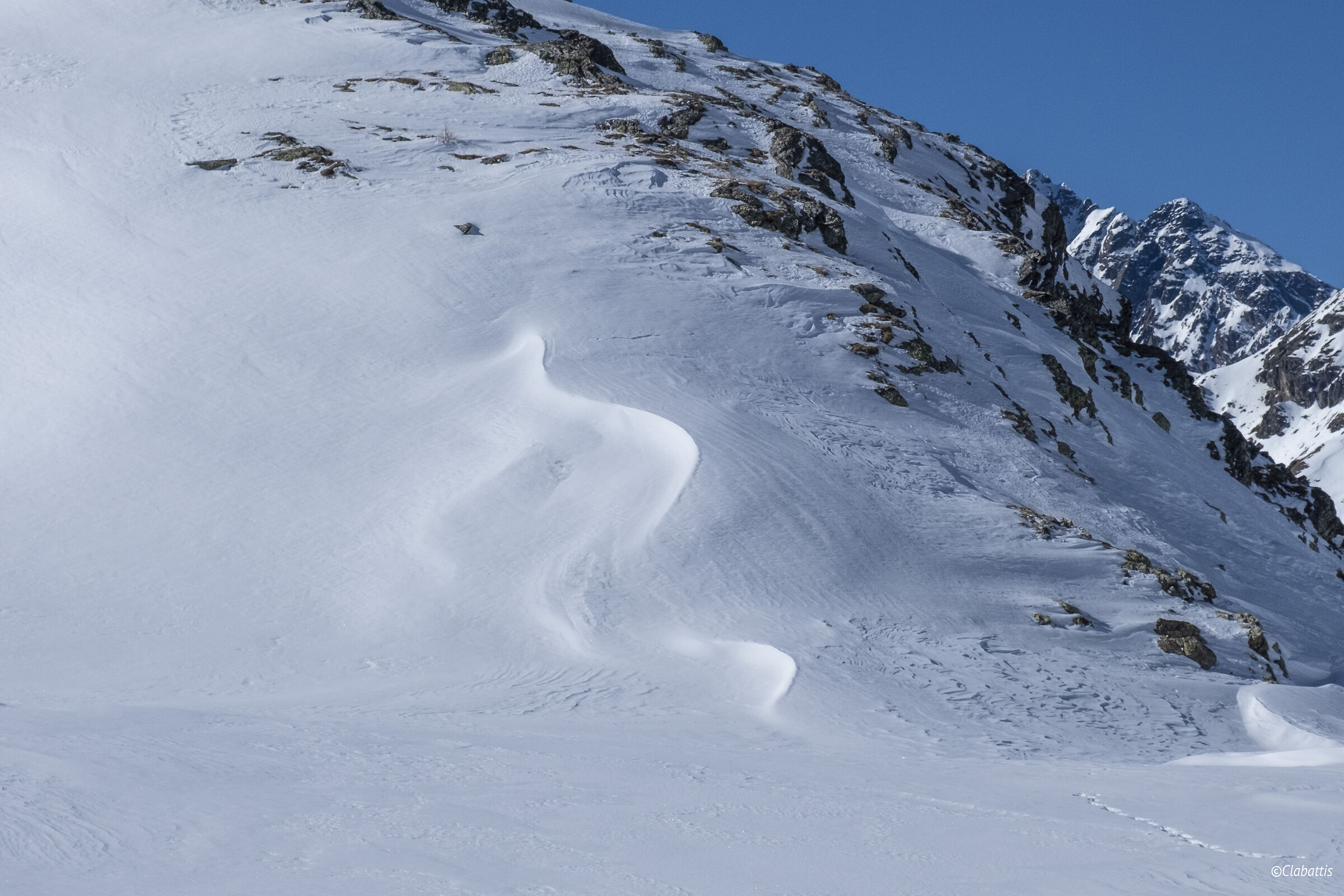 The Snow Serpent