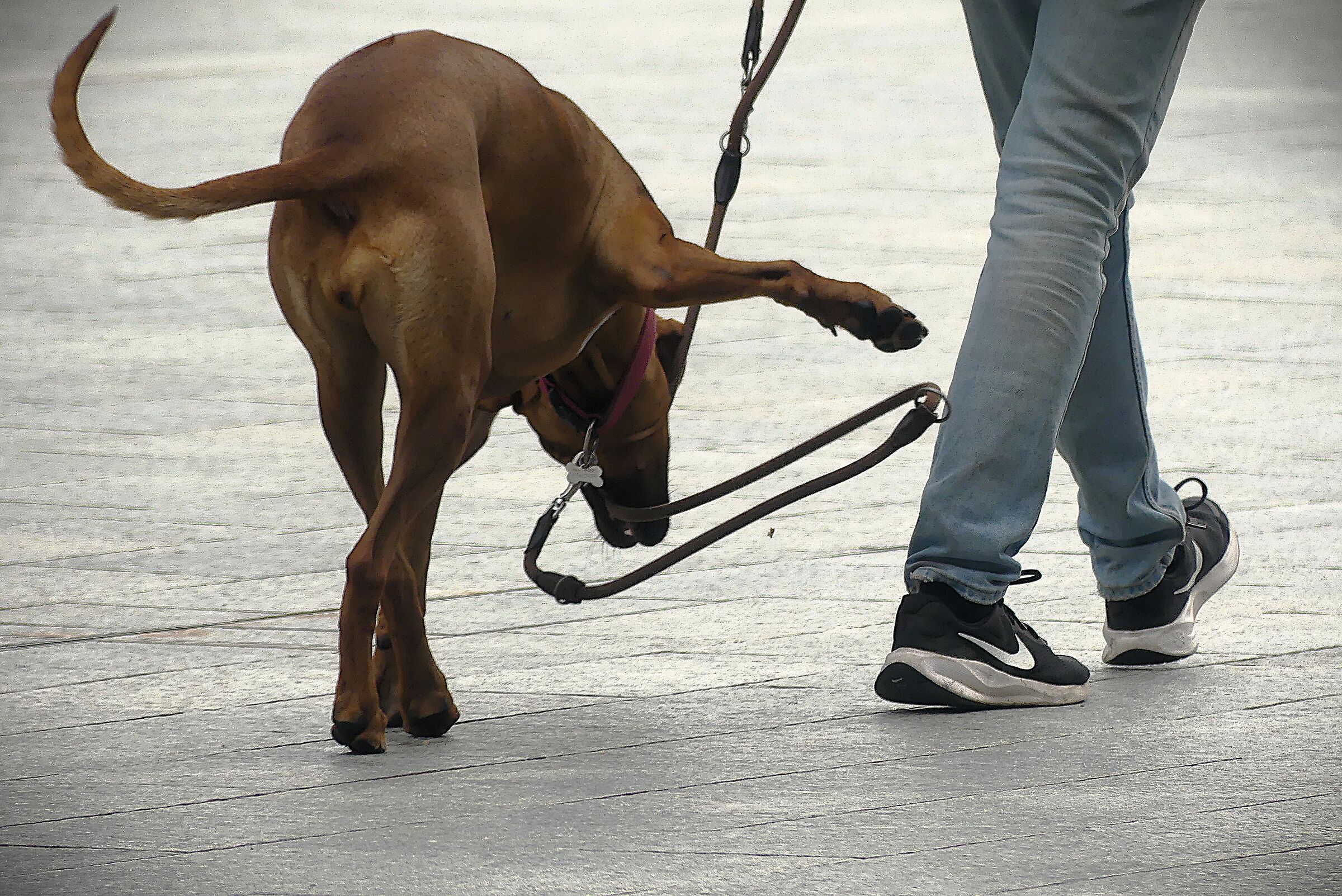 Walking