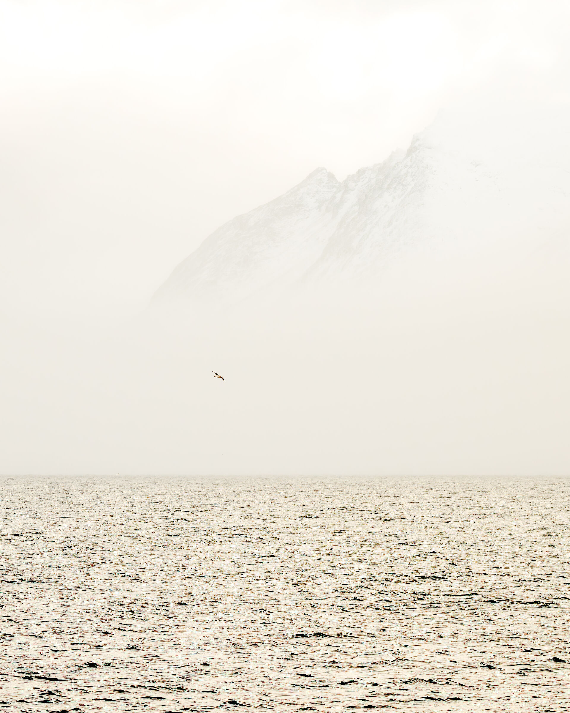 Nel nord della Norvegia