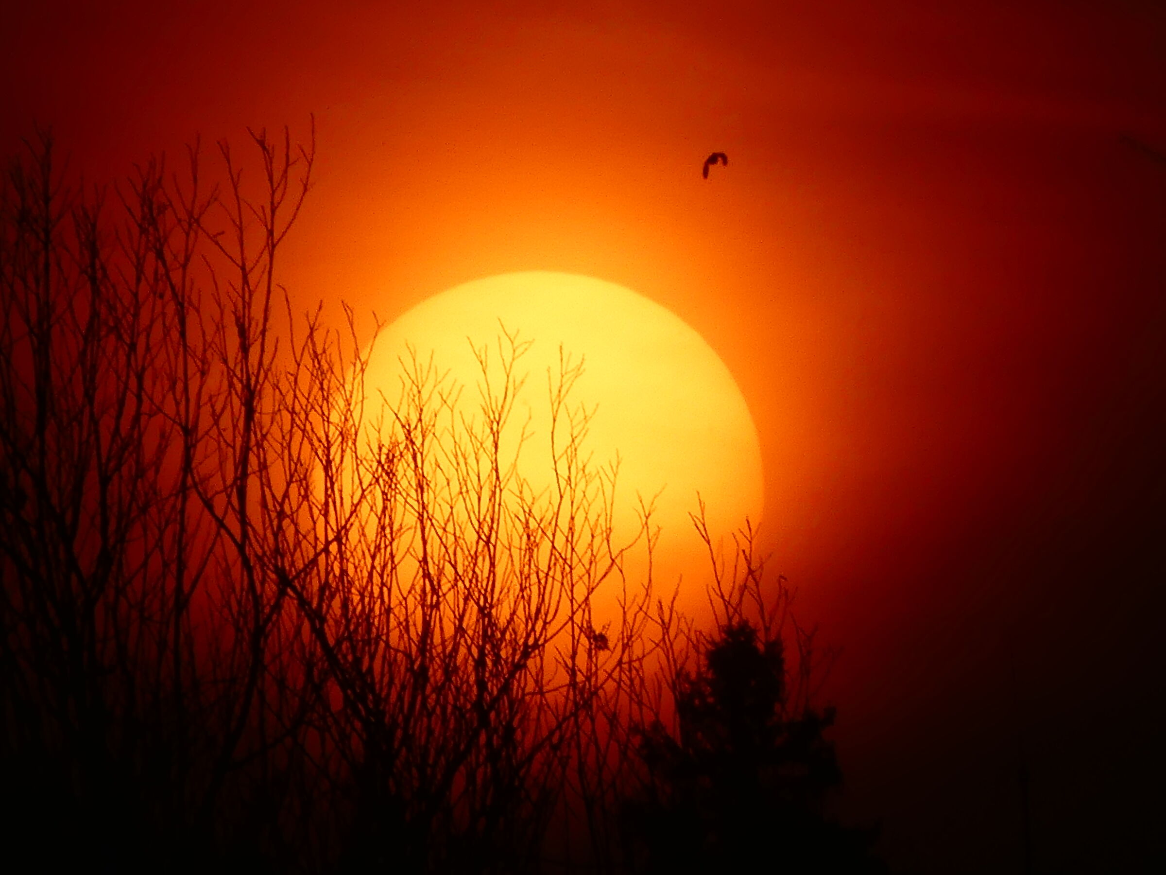 After the moon the sun is born