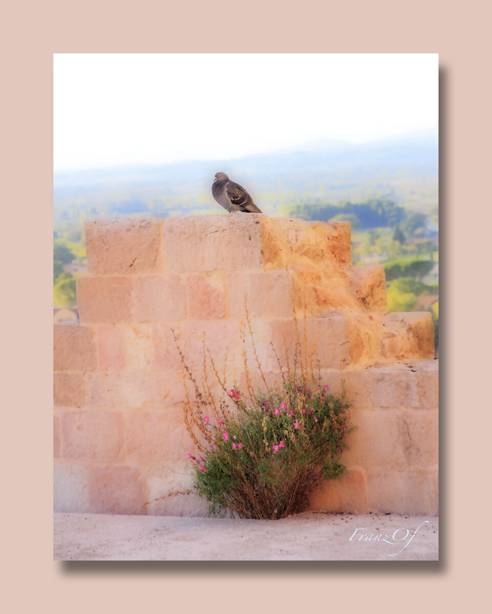 orton