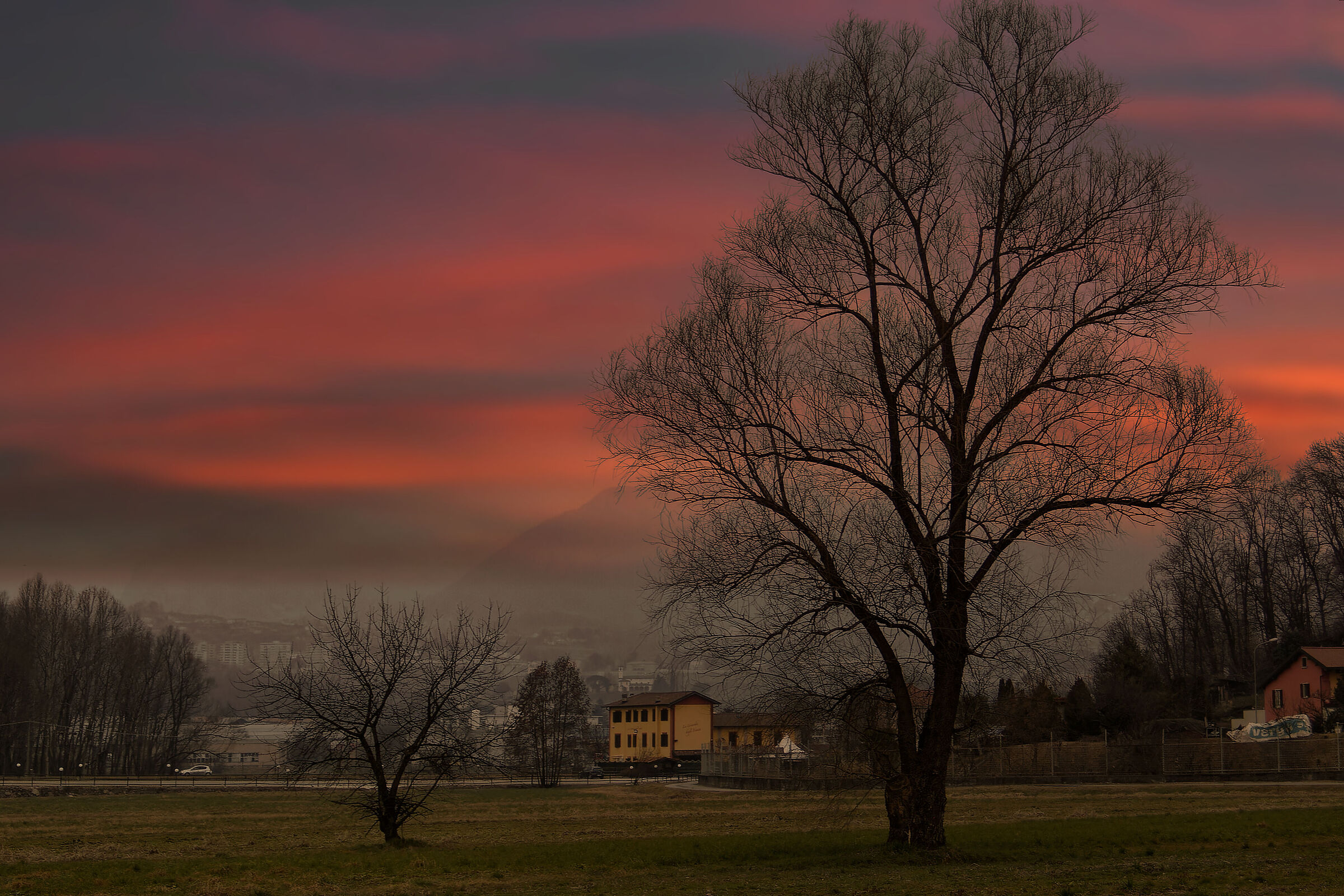 Untitled Photo