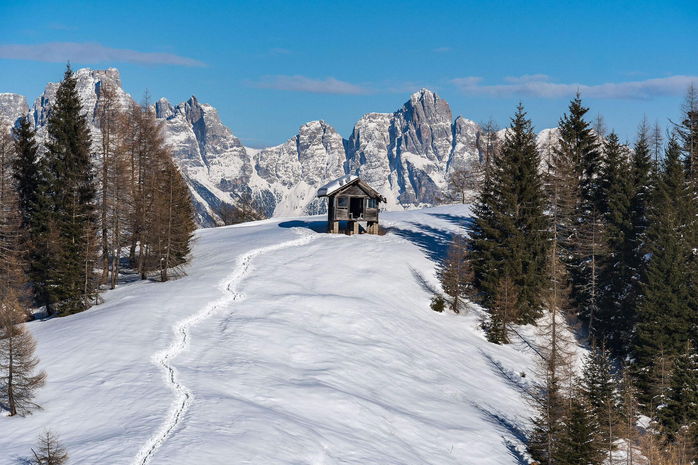 View from the Scarpa Refuge