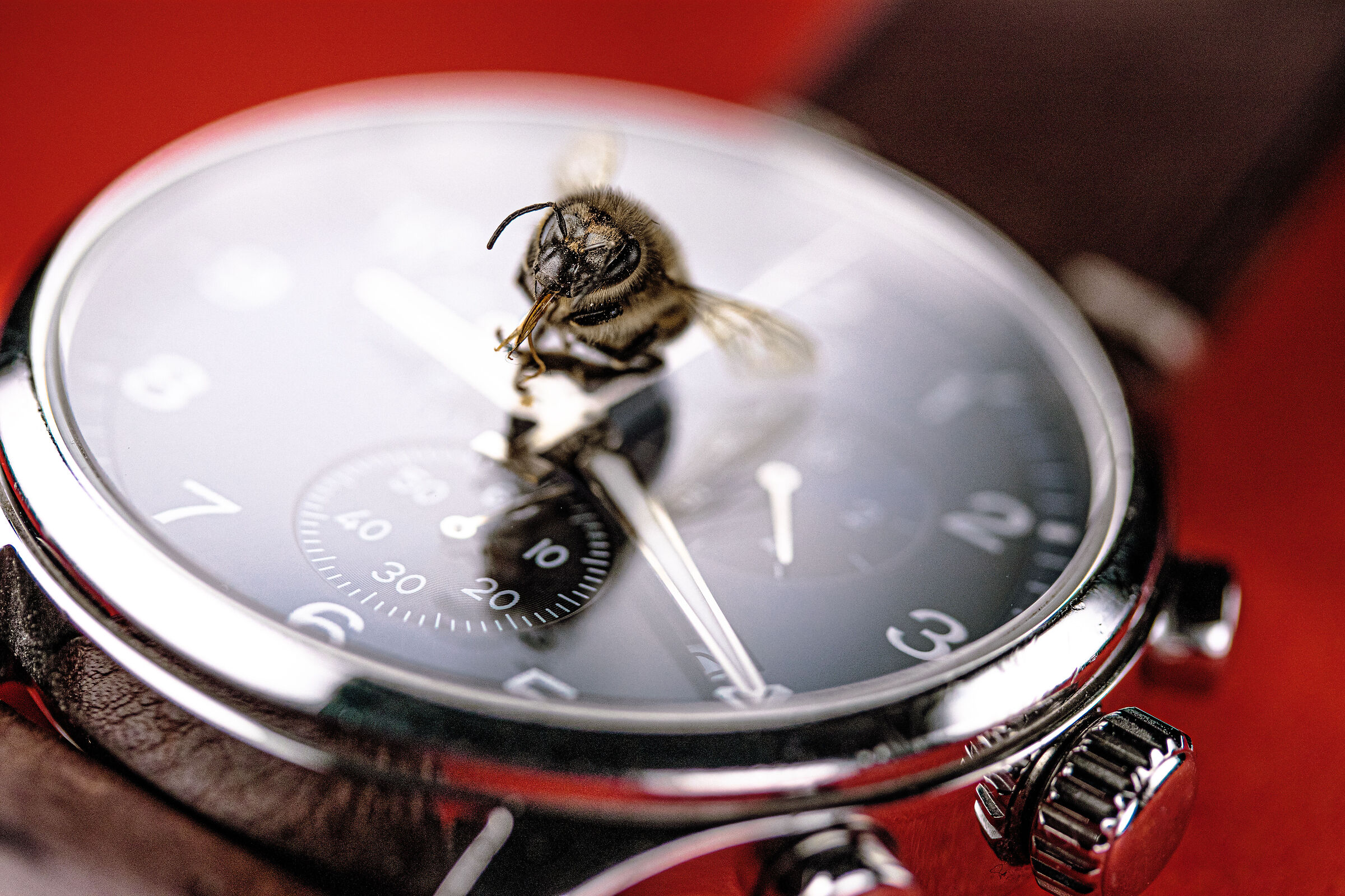 Quanto tempo rimane?