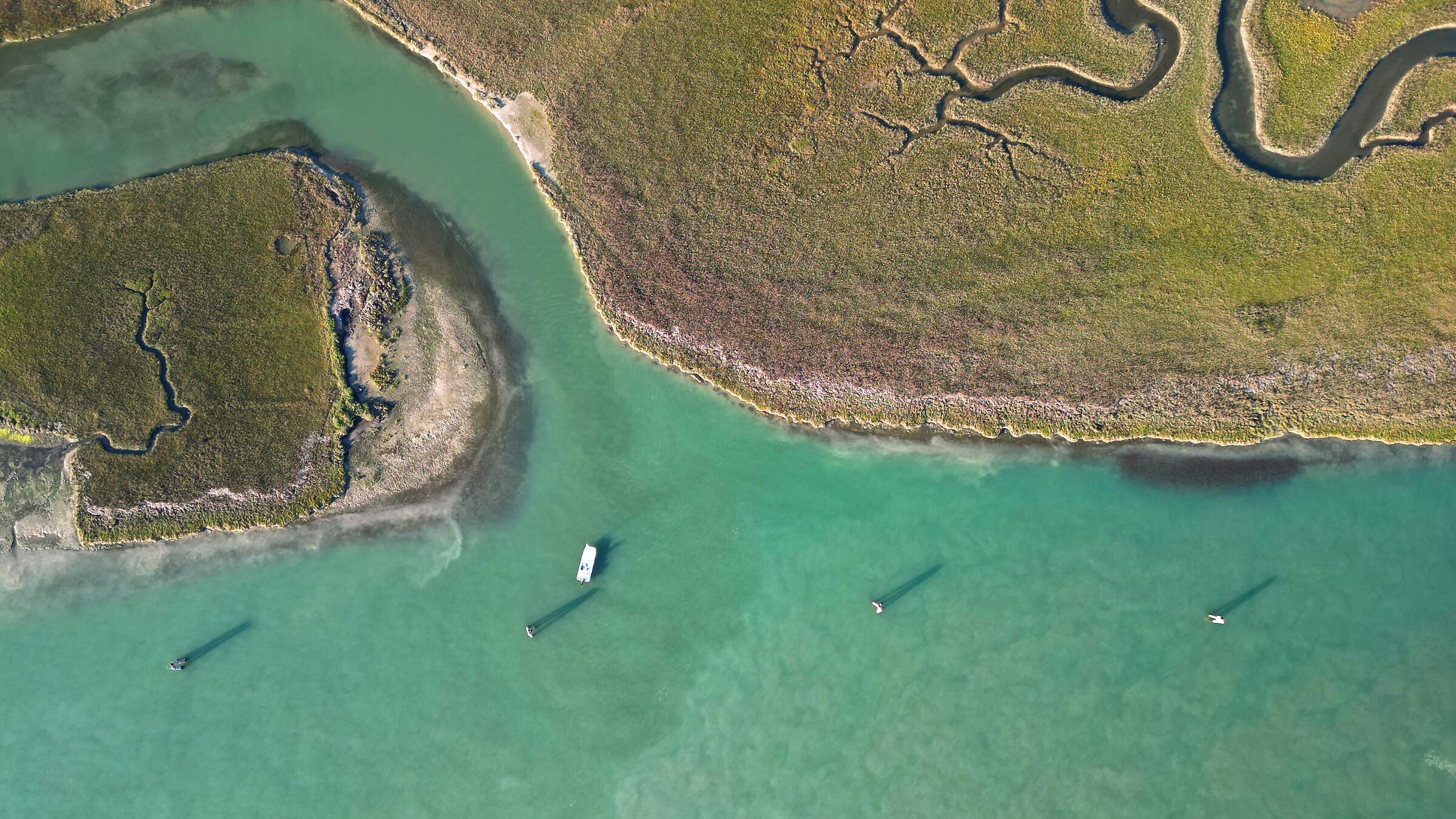 Fishing in the Lagoon