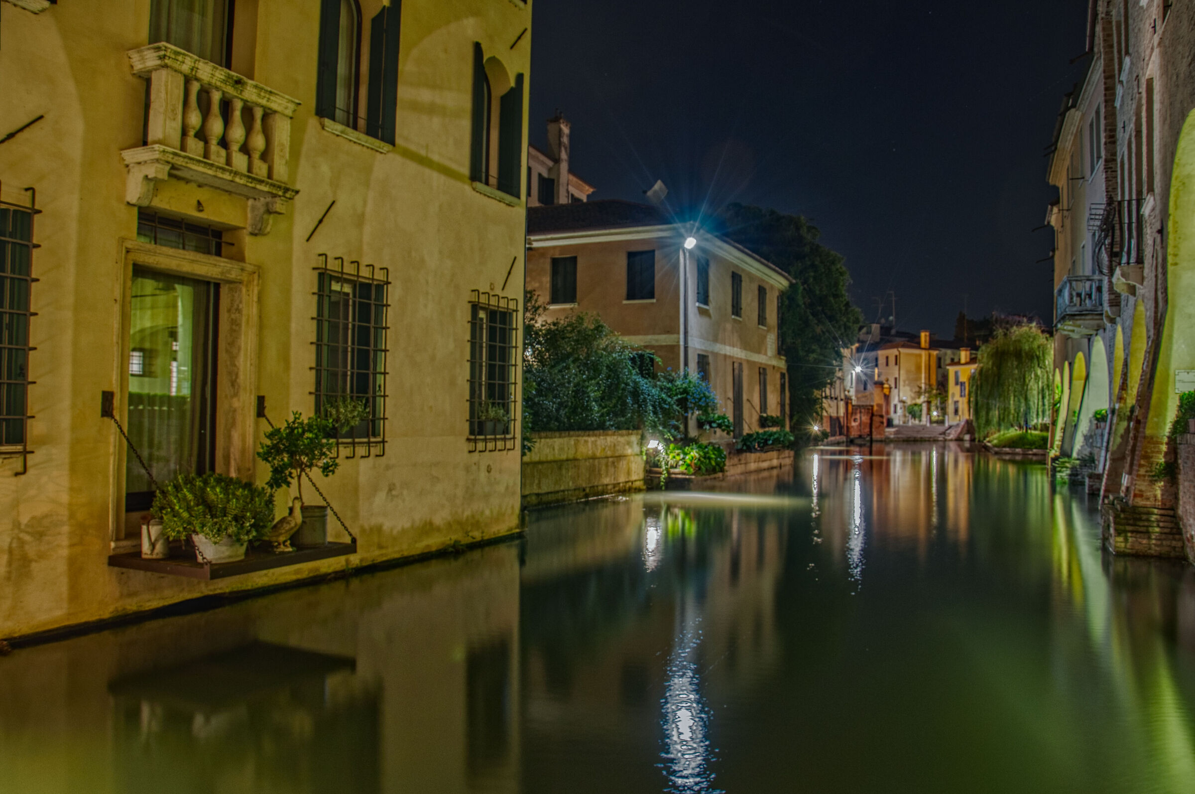 Treviso