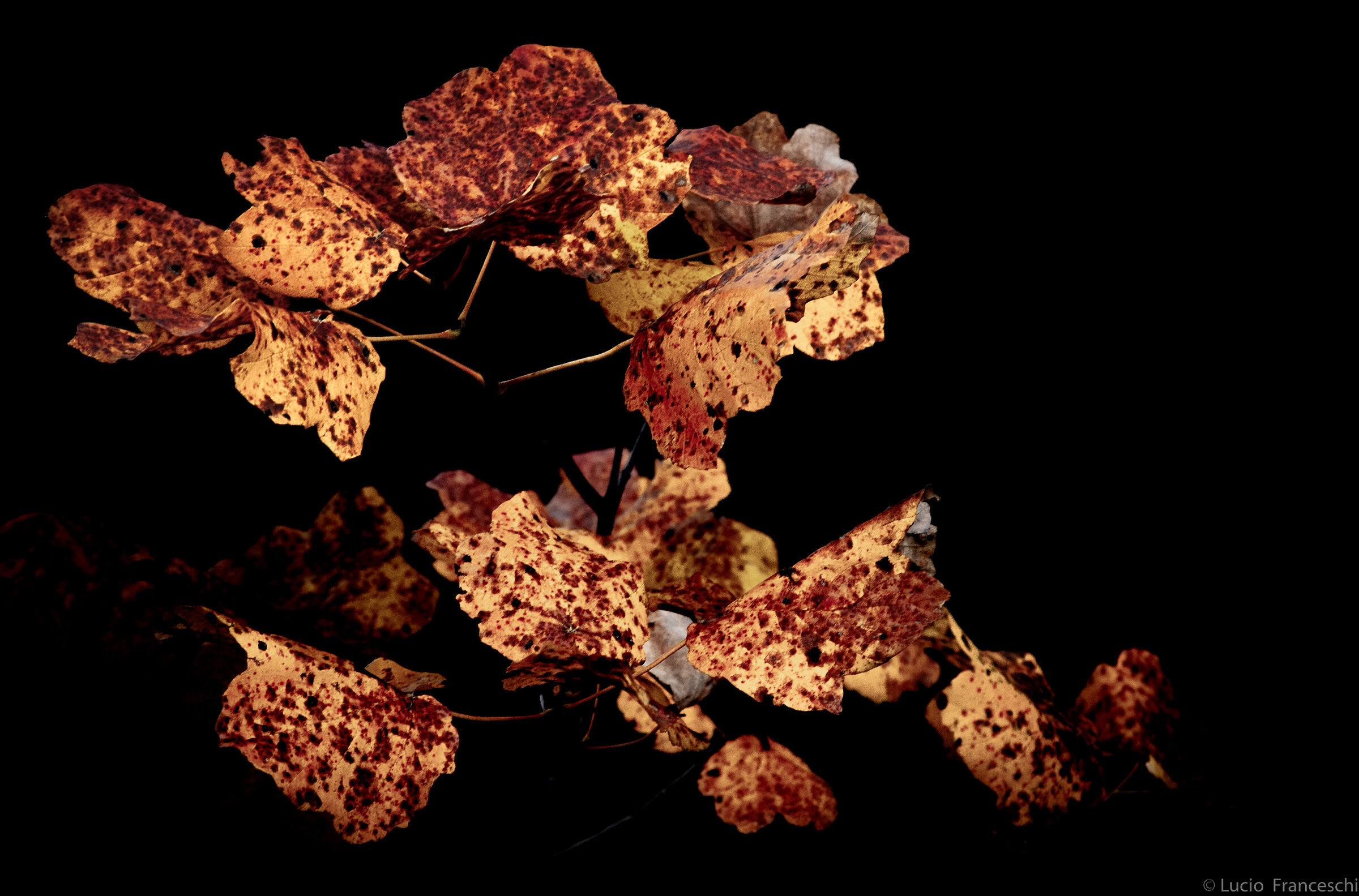 Autumn in the Marche region