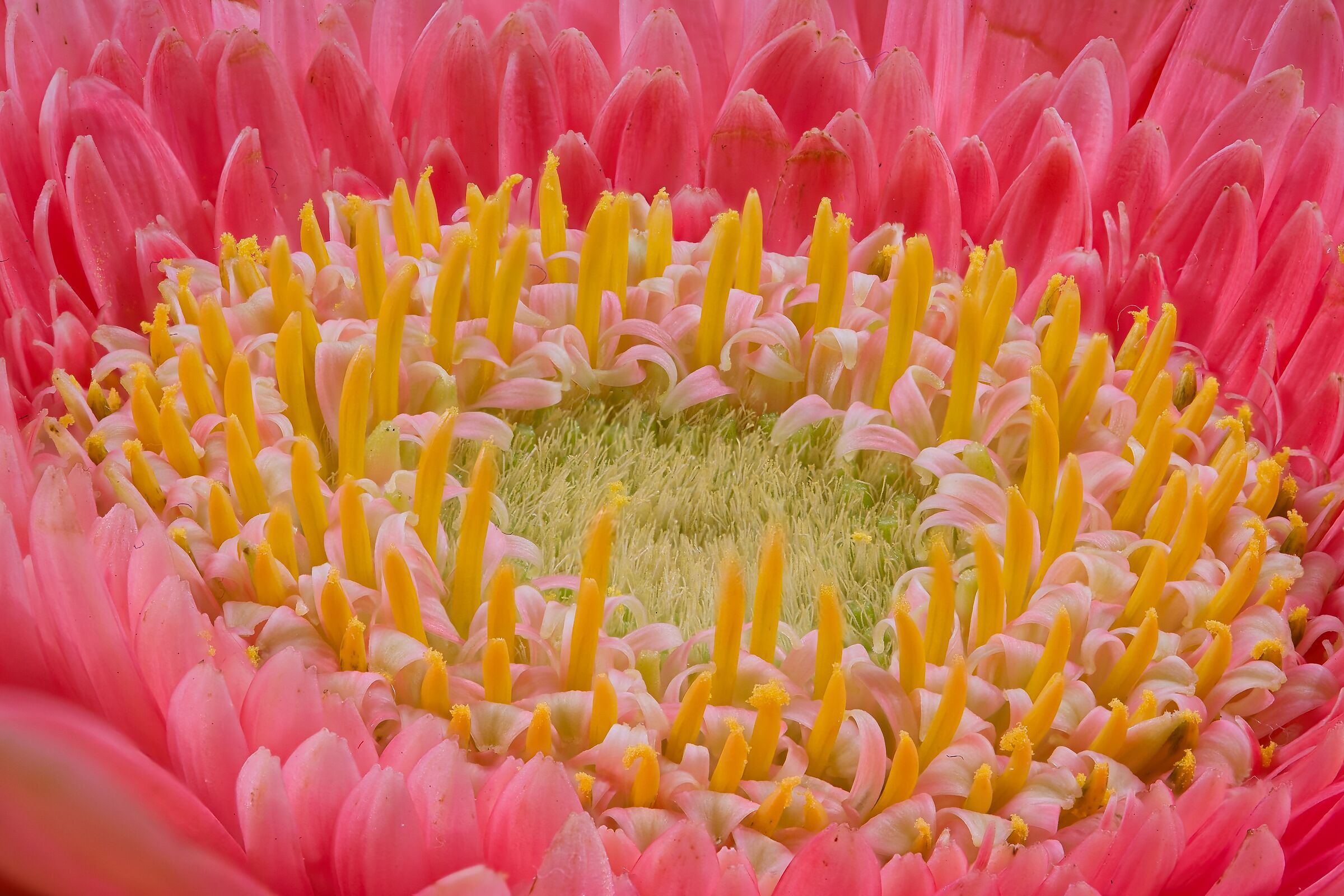 perfezione e imperfezione