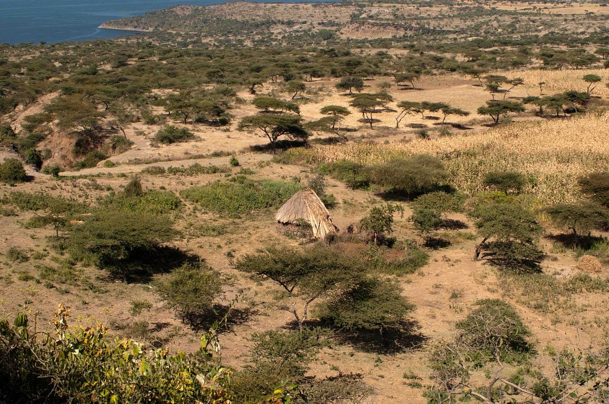 Ethiopia - Lake Abijata