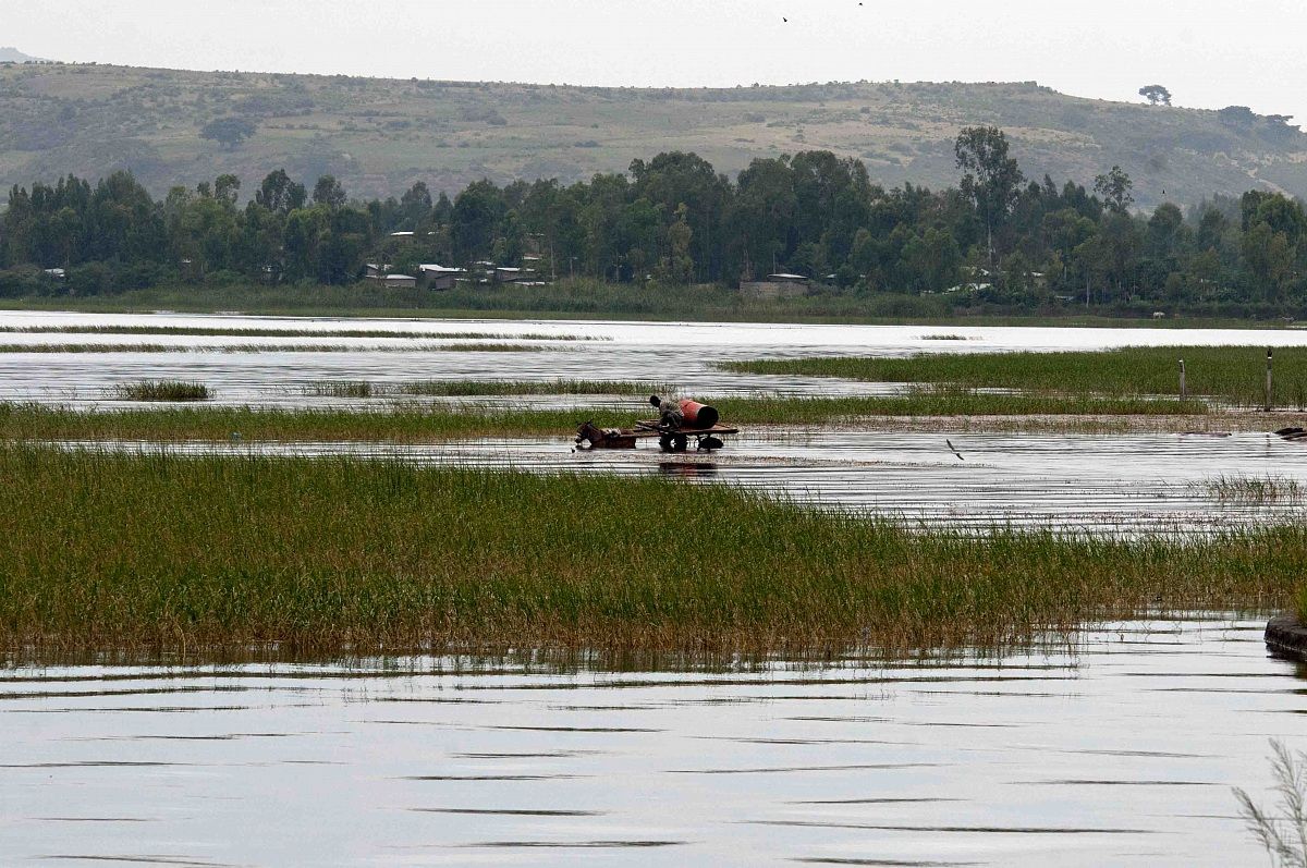 Etiopia - Lake Awasa