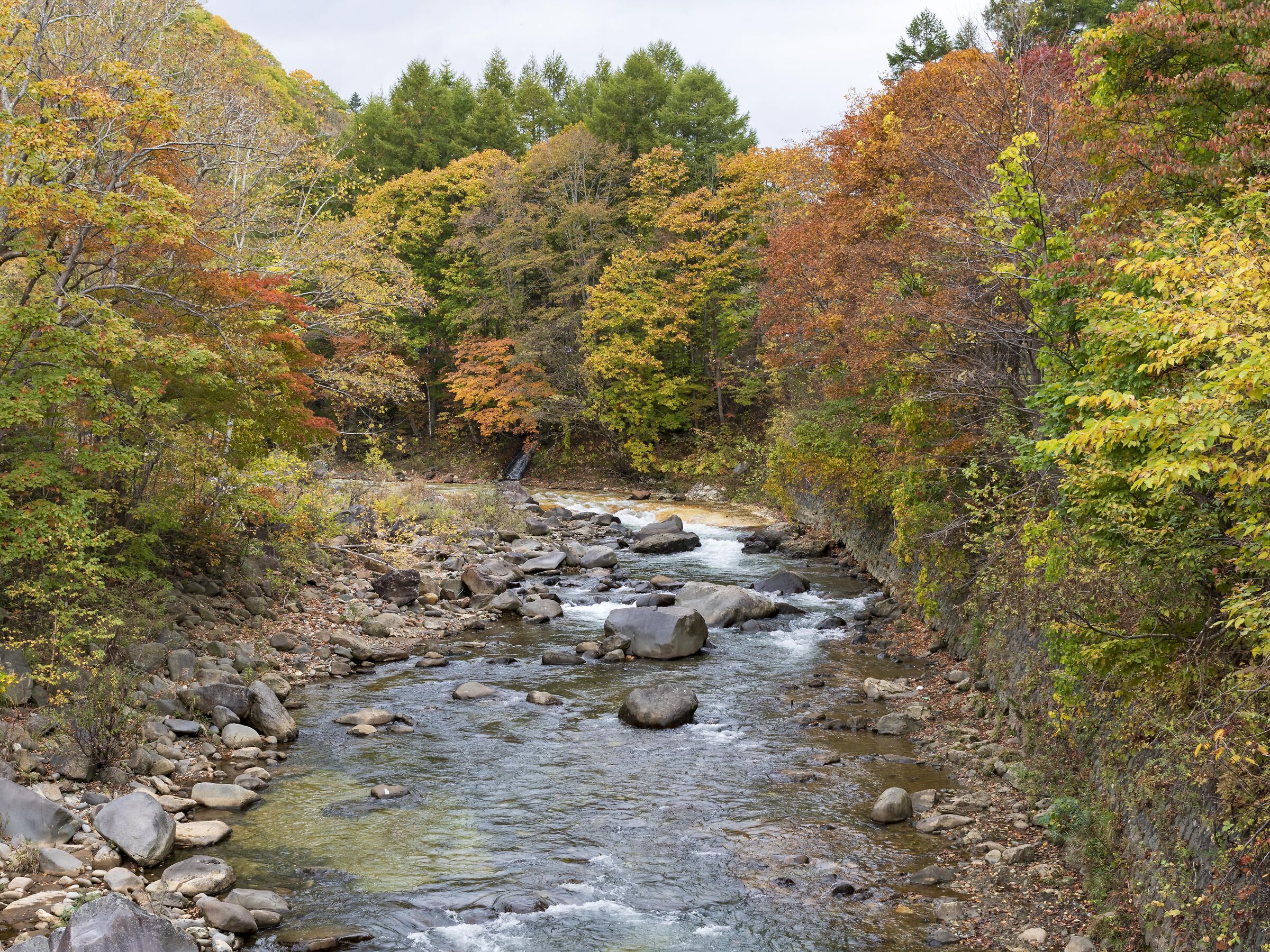 Autunno Hokkaido