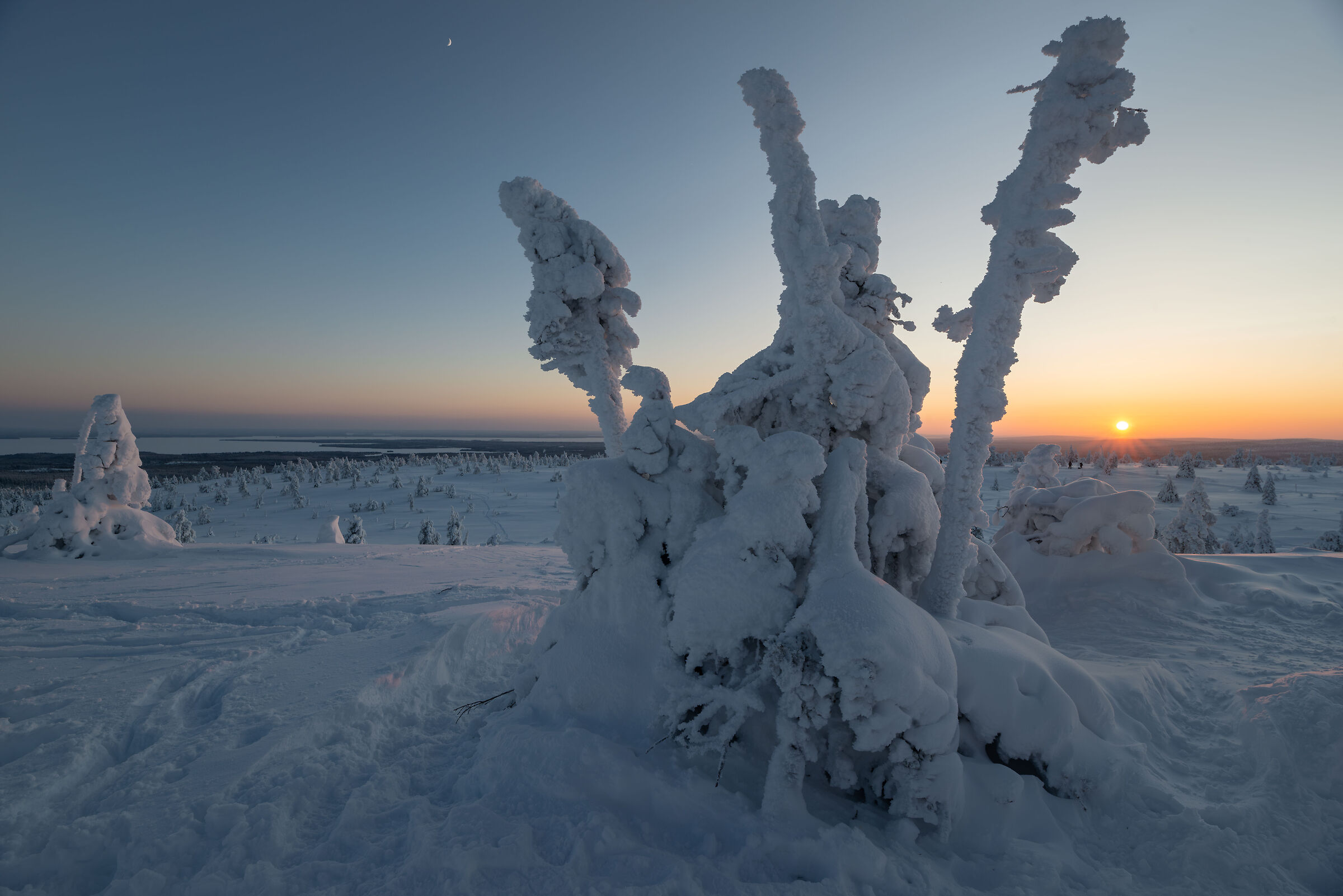 When the Moon chases the Sun