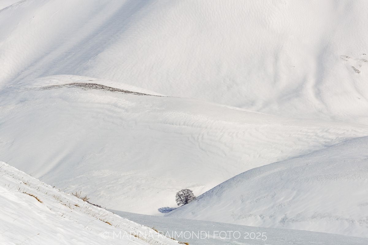 Between the folds of the mantle