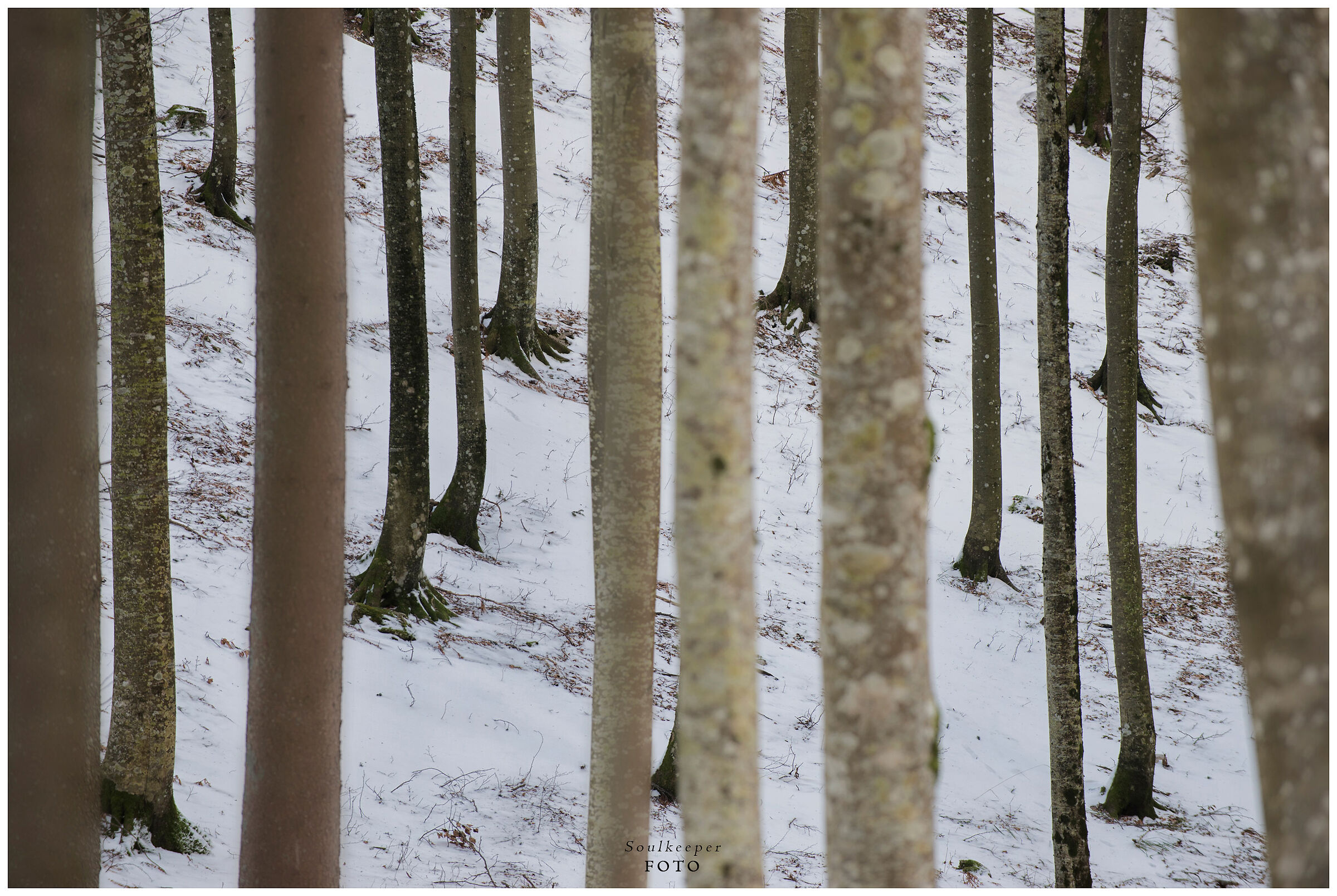 Firmly planted on the ground...