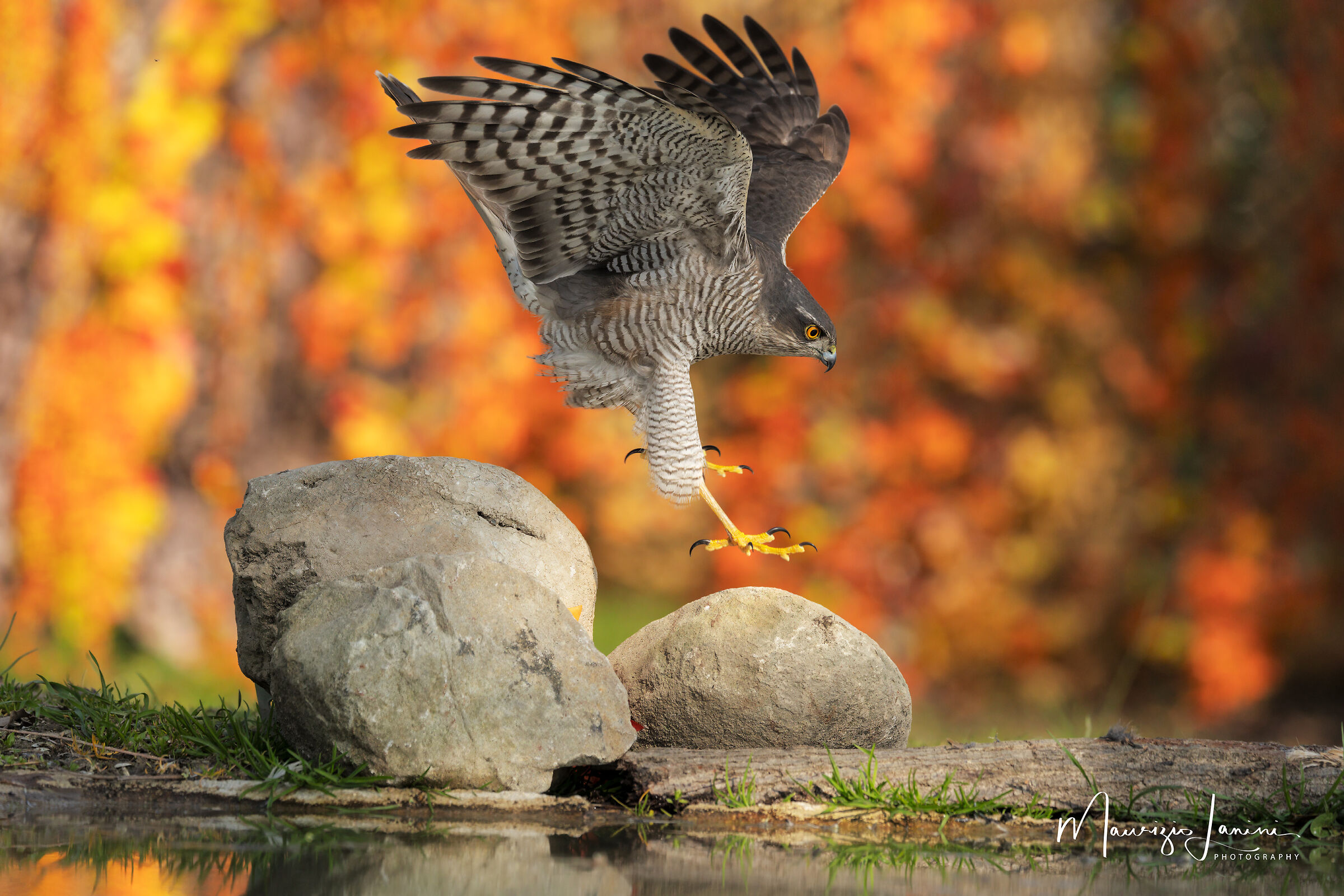 Landing