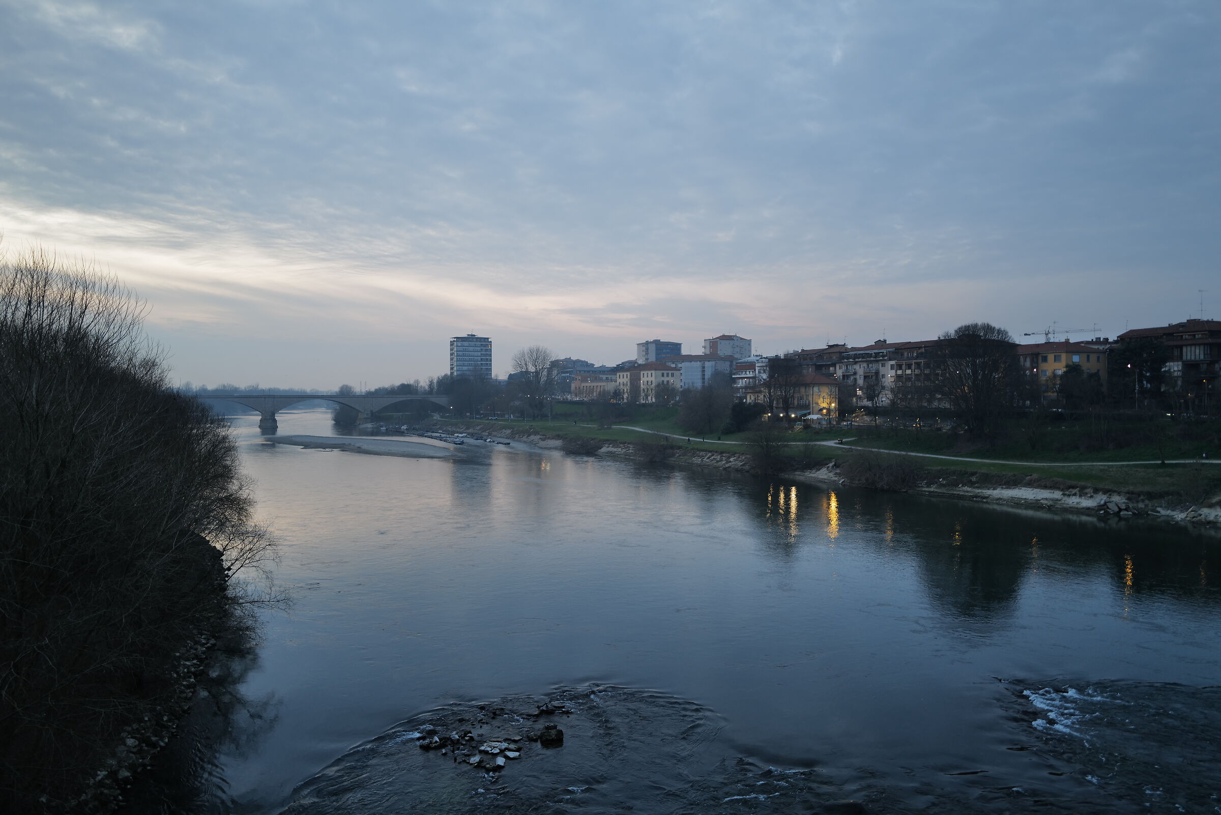 Pavia blu