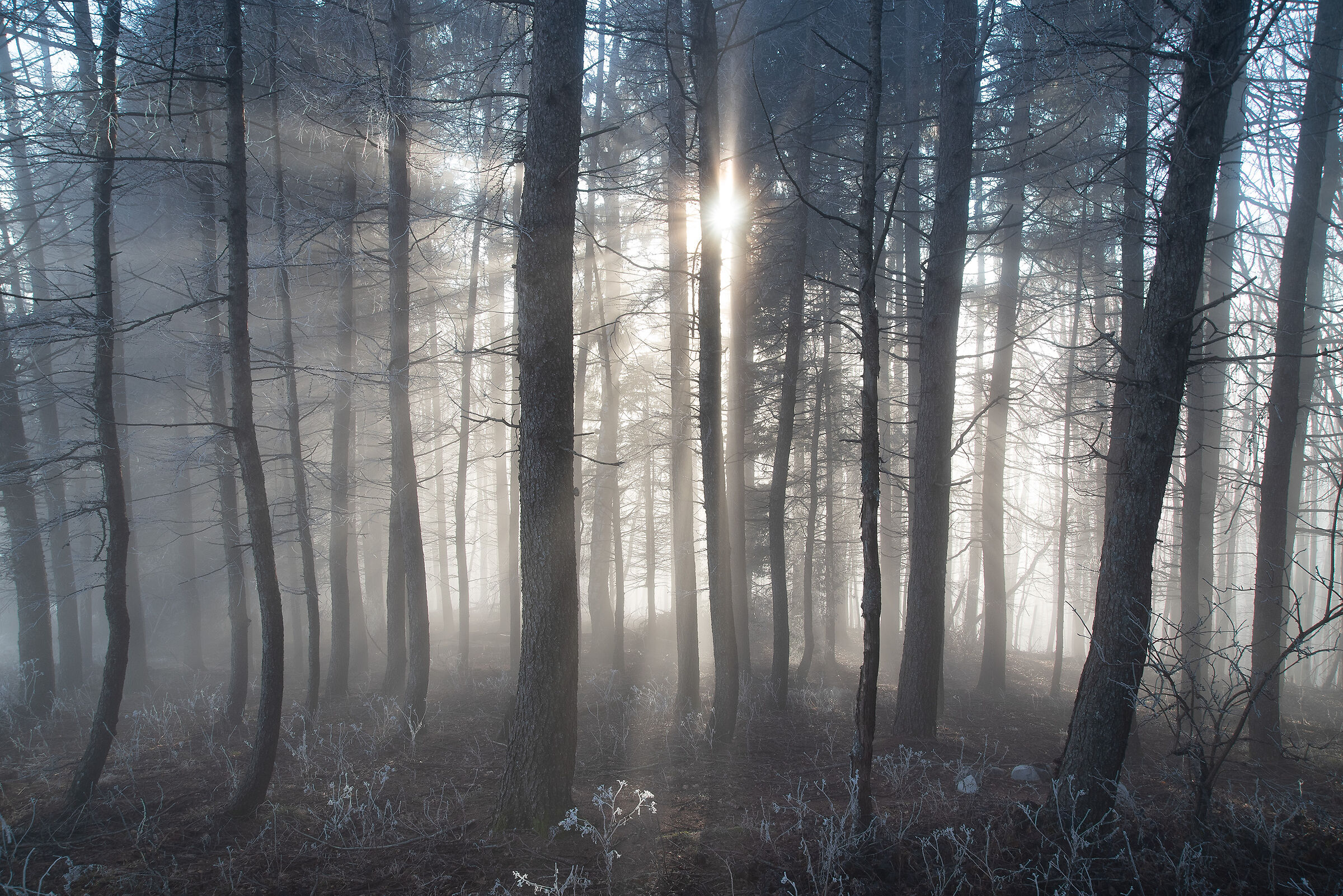 Raggi di Luce