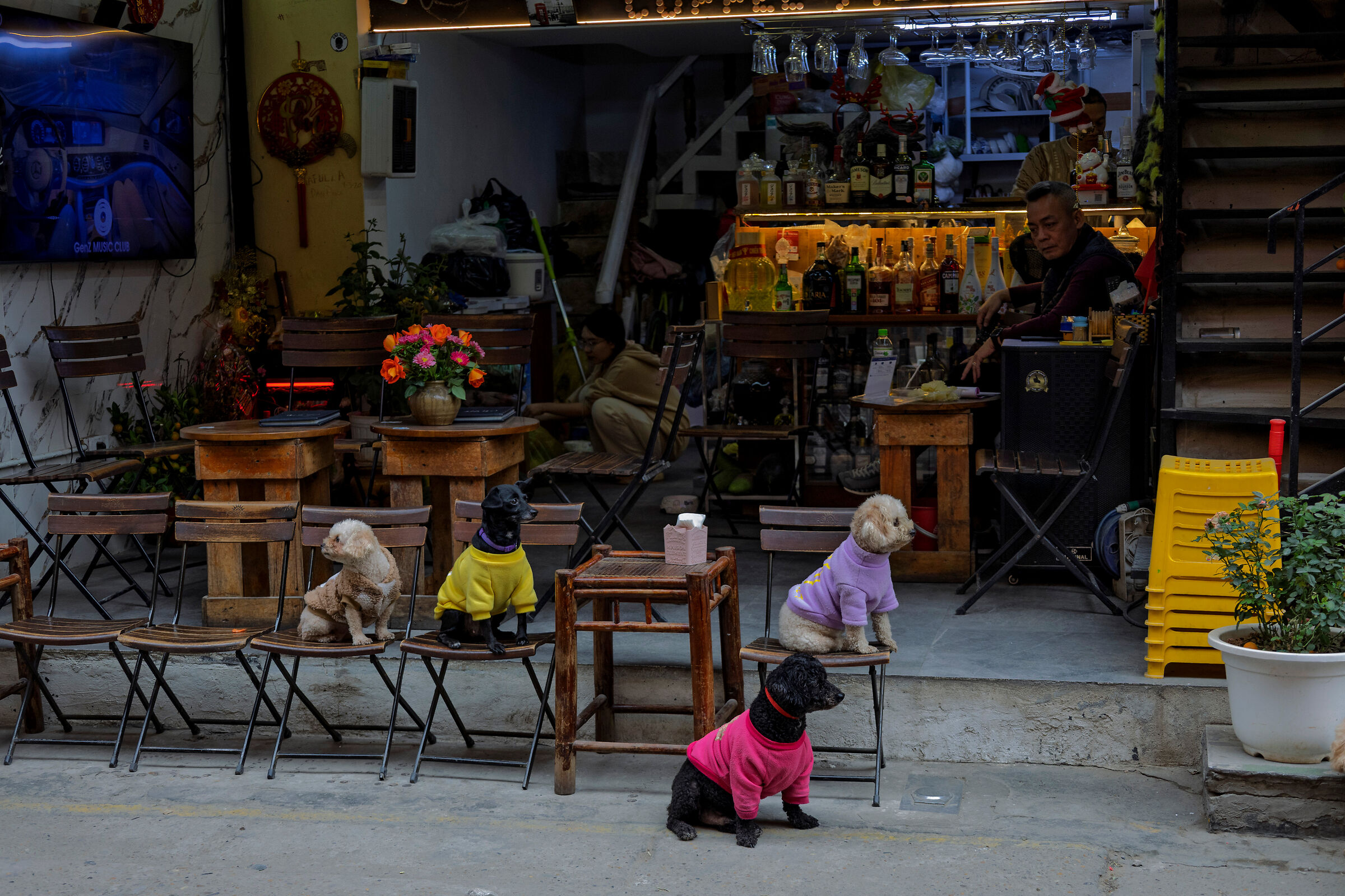 Hanoi Bars