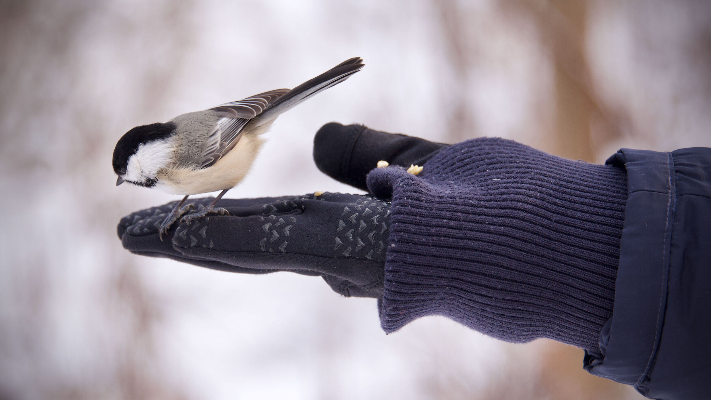 Ricordi di un giorno