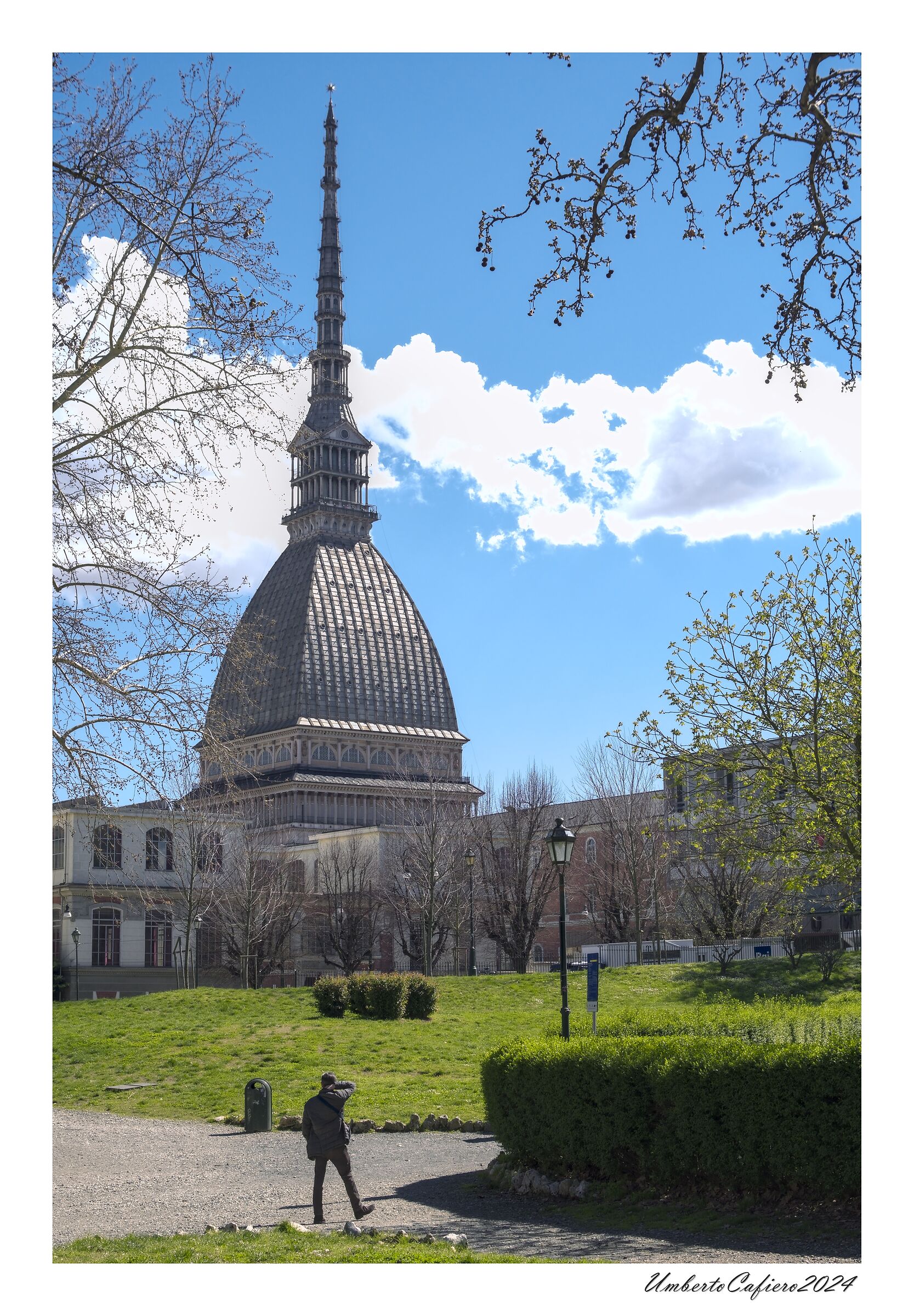 Antonelliani Alignments