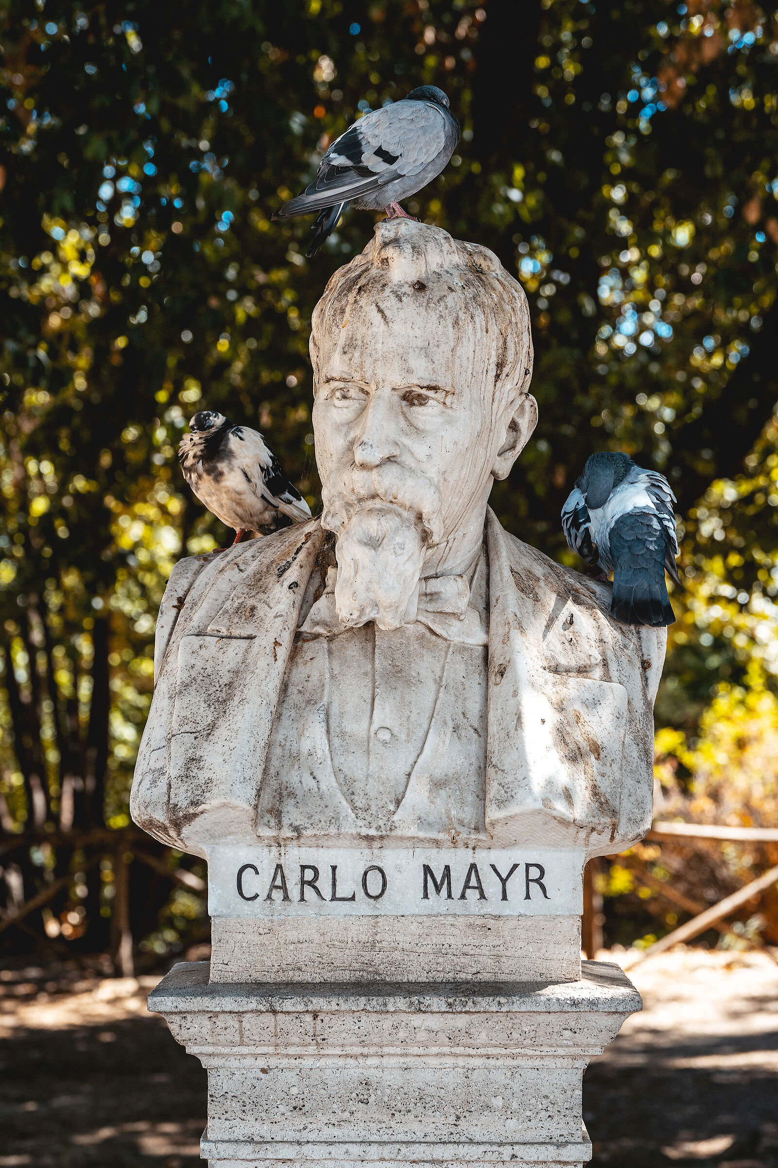 Carlo Mayr
