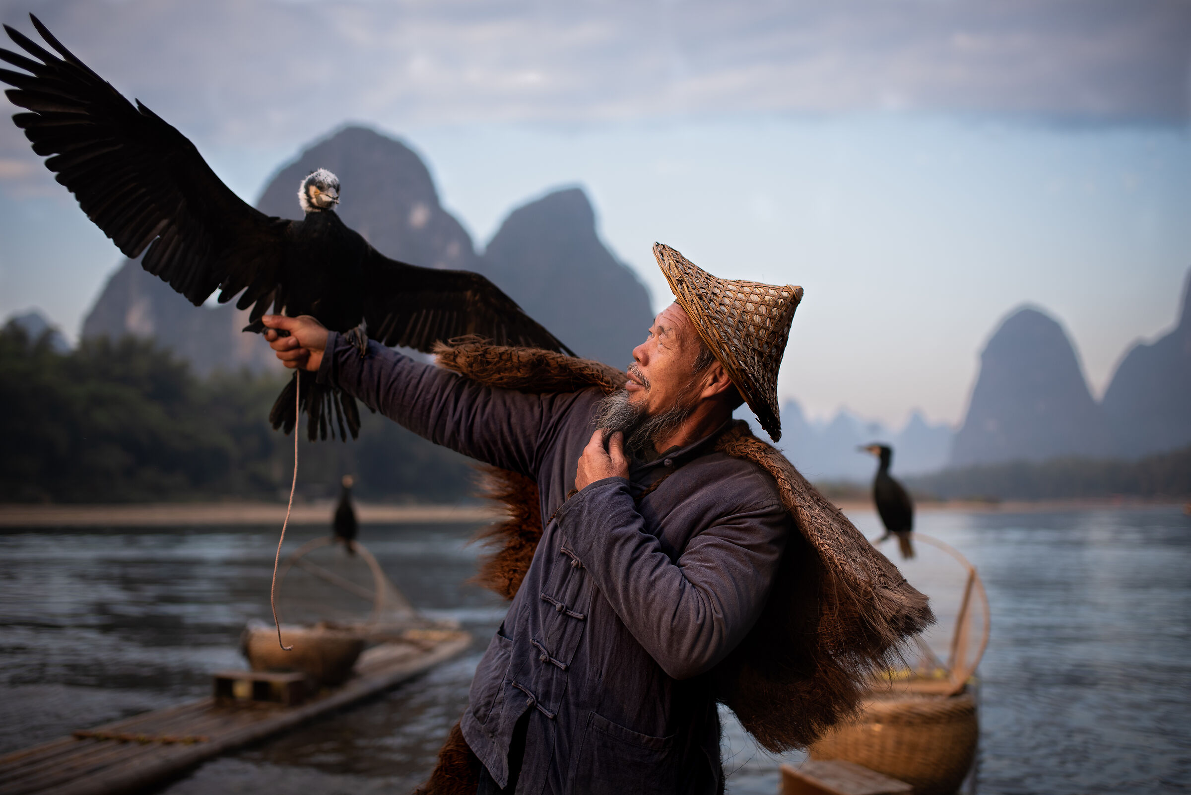 The fisherman and the cormorant