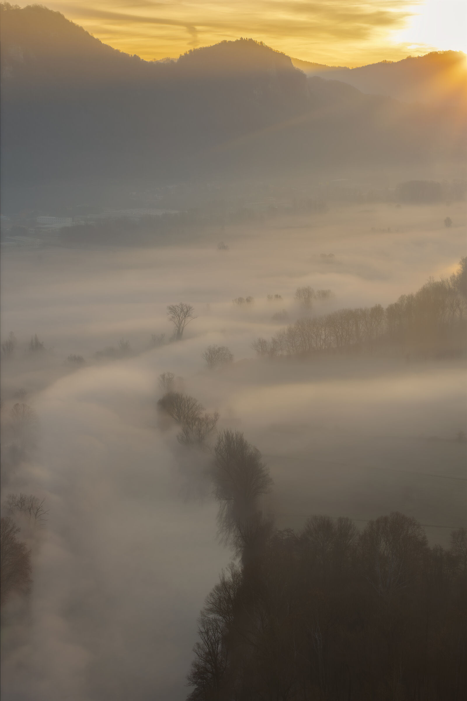 Fog on the Adda
