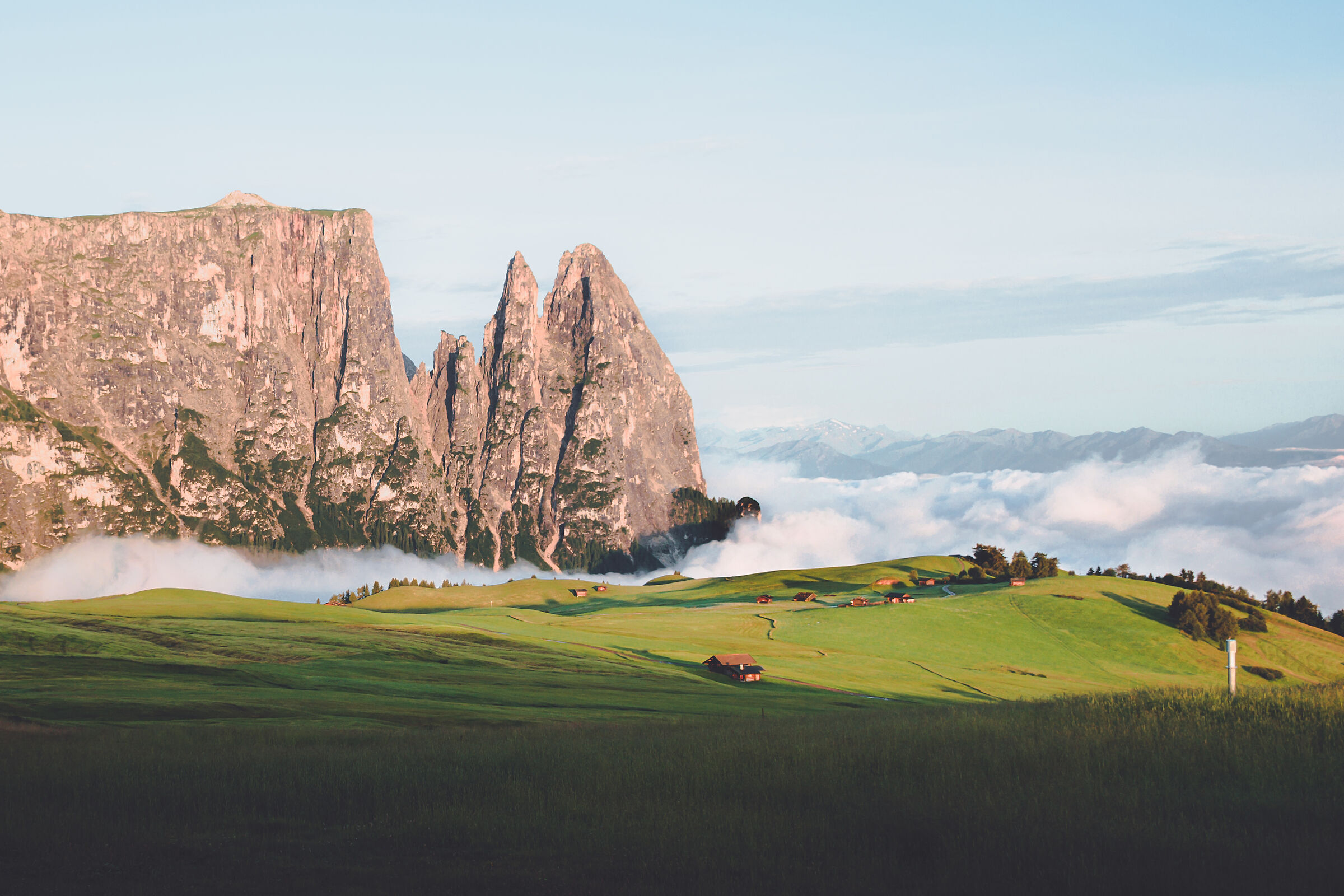 Loacker what goodness