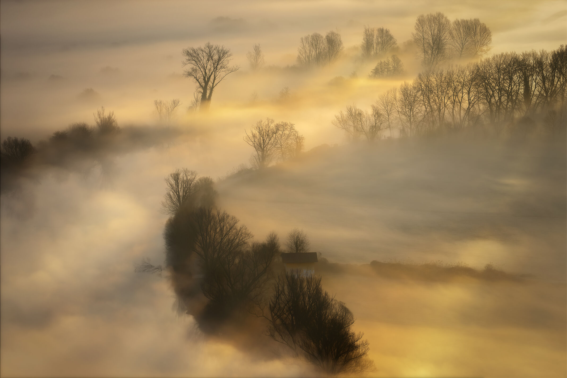 Foggy dawn on the Adda