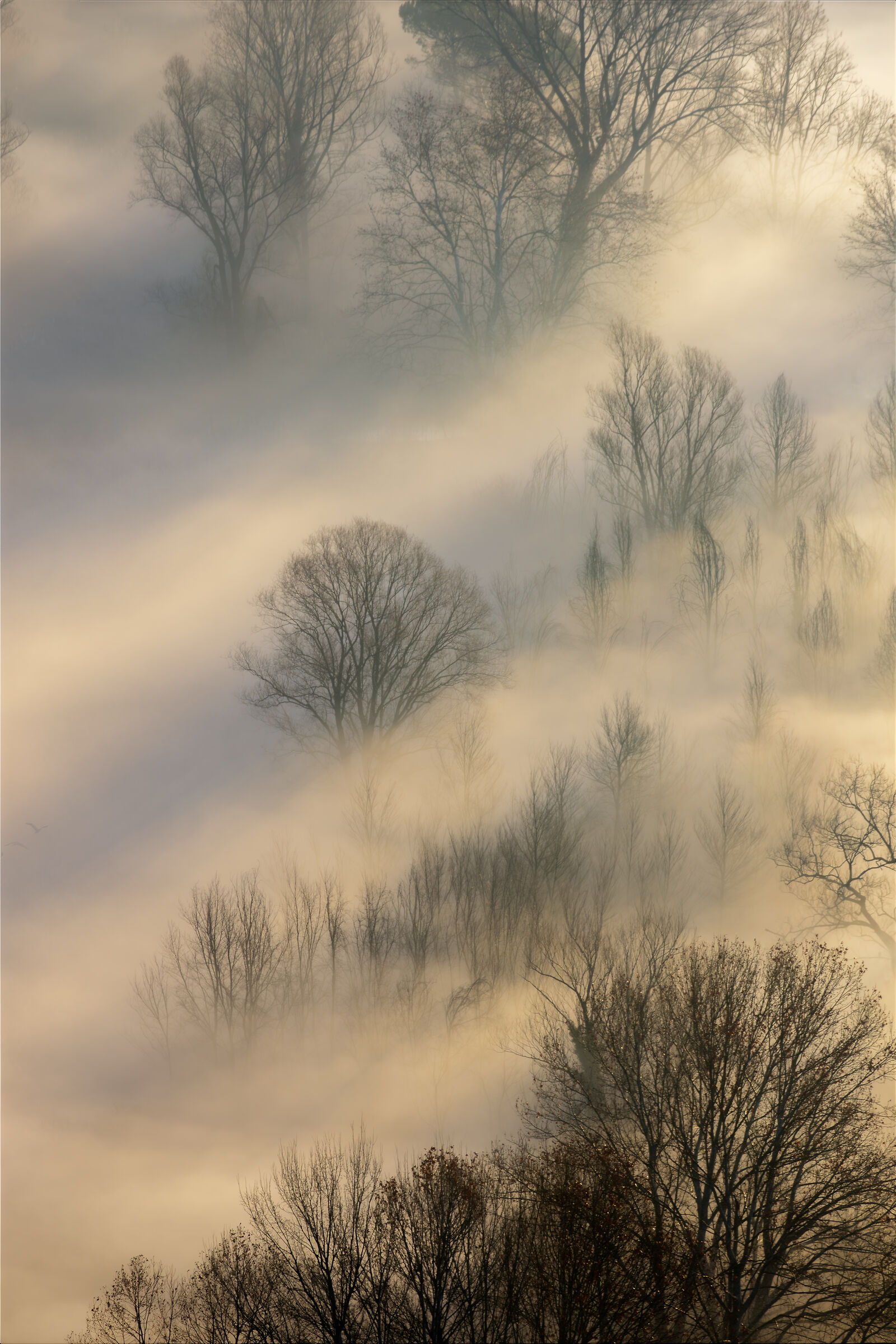 Alba nebbiosa sull'Adda