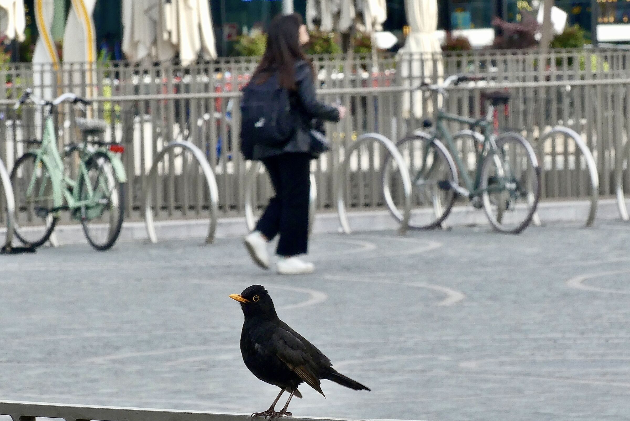 Milan