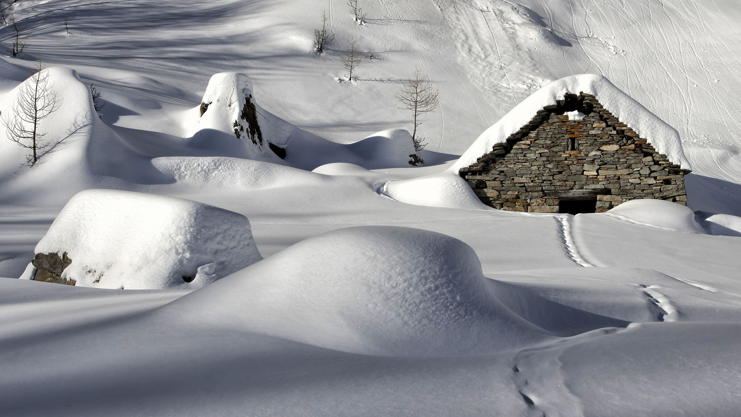The sleep of the alp