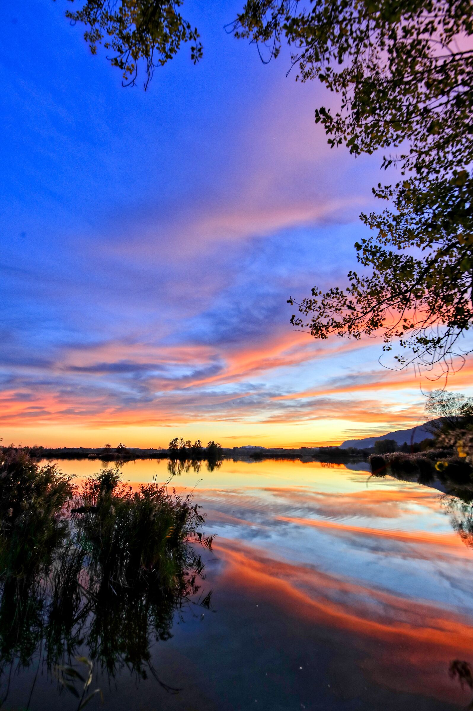Riserva naturale delle Torbiere