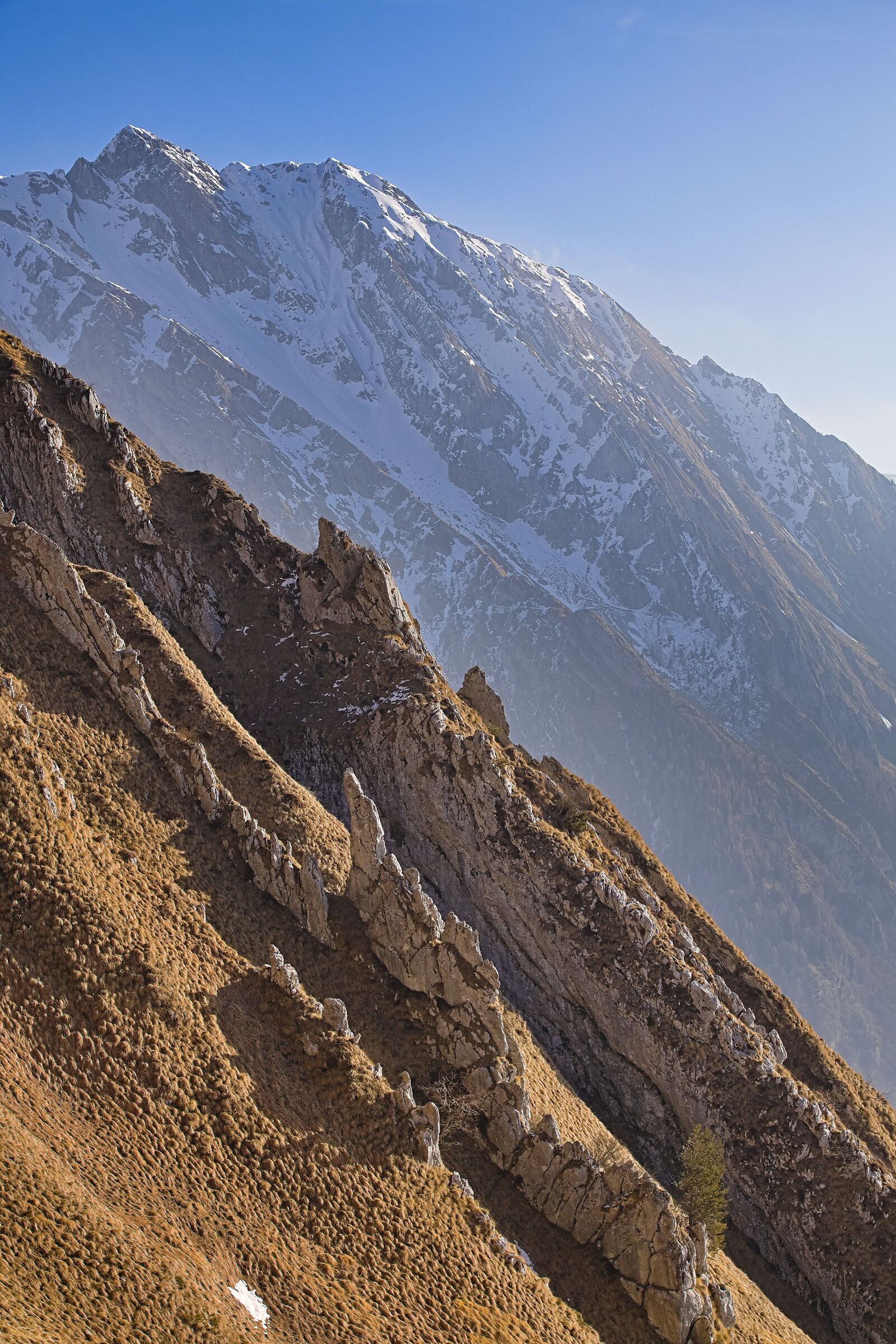 Un discorso su più piani