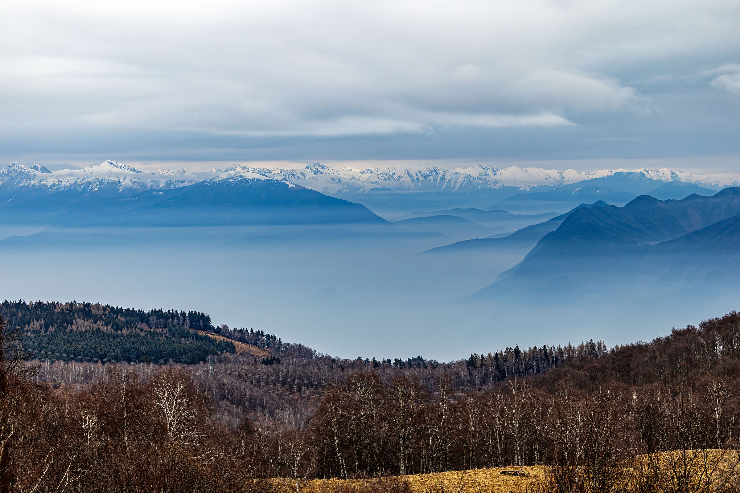 The Major and the Fog