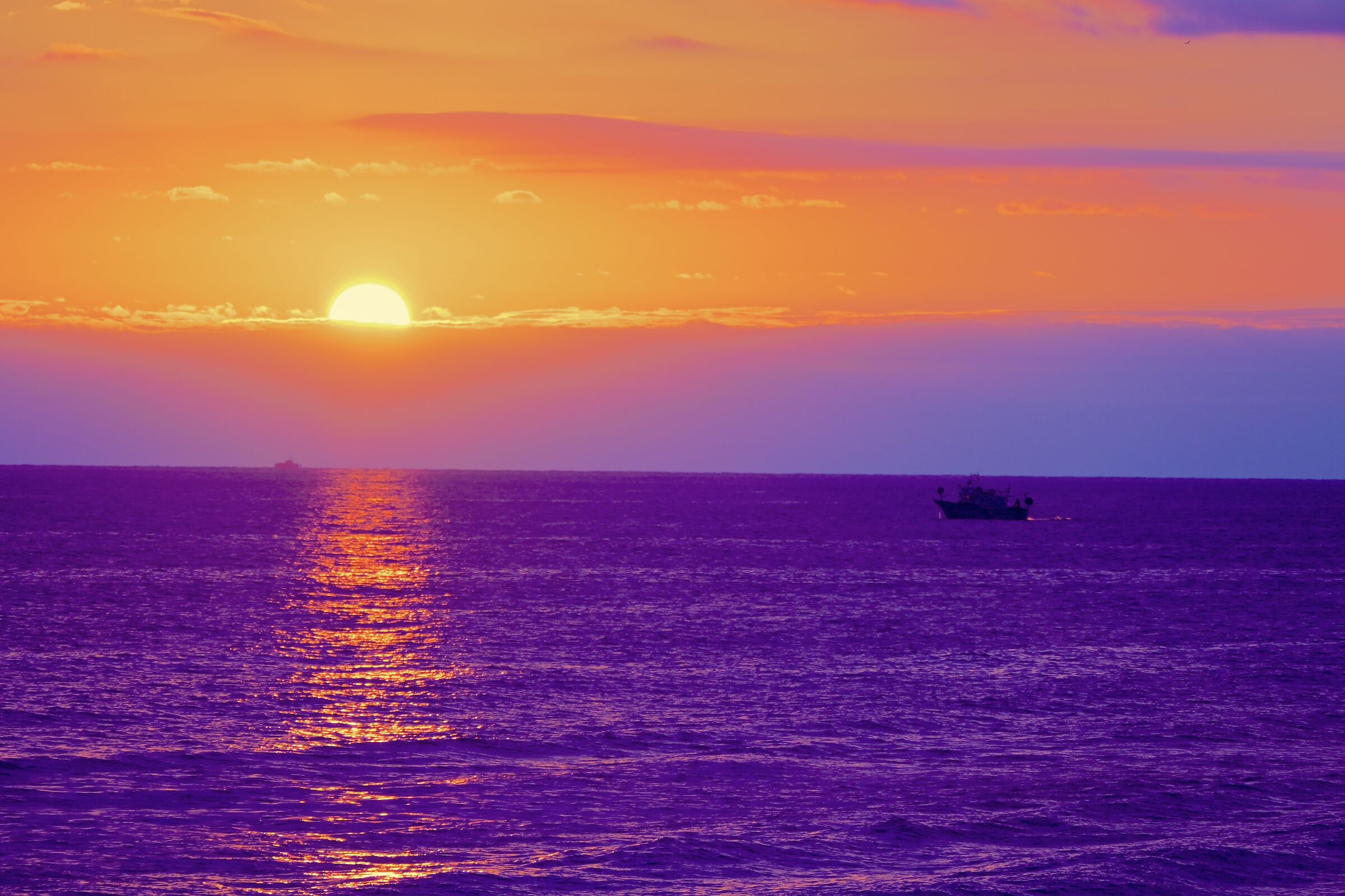 I want a life like this