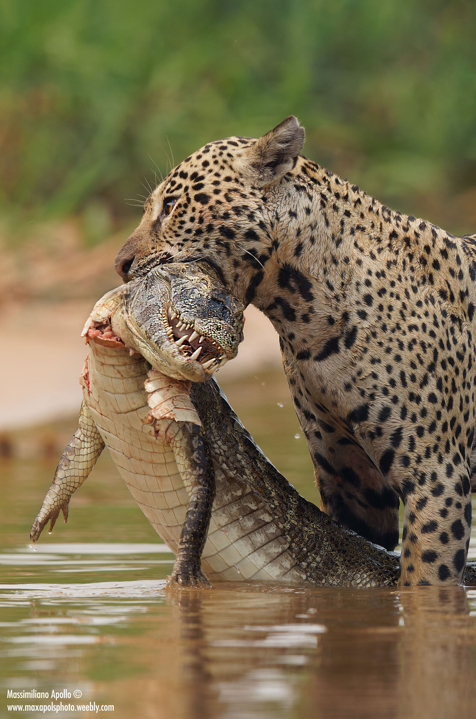 Forza della natura...